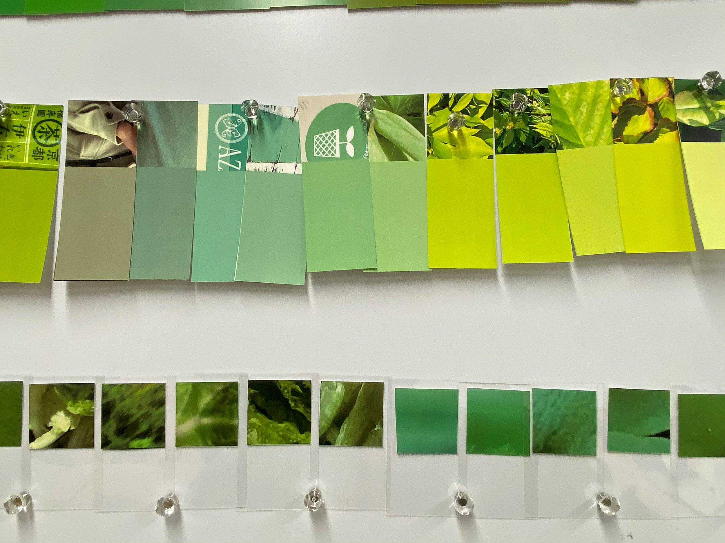 color_observation_green_2021_003.jpg