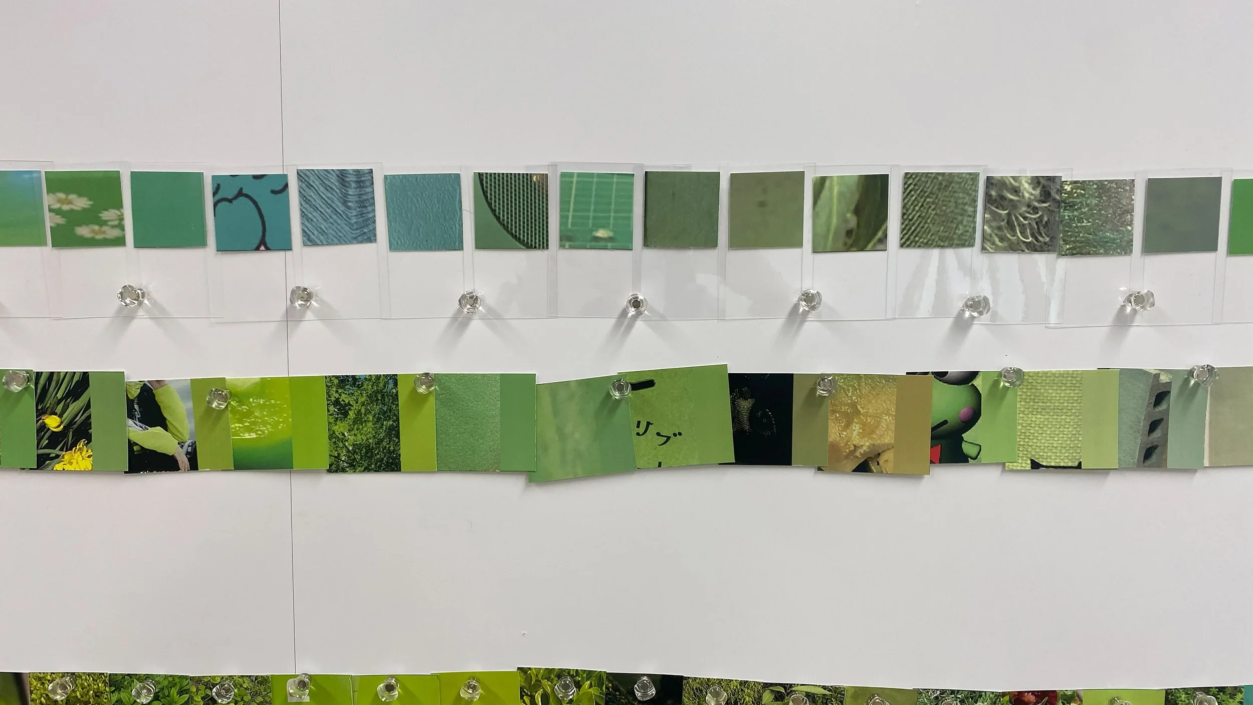 color_observation_green_2021_004.jpg