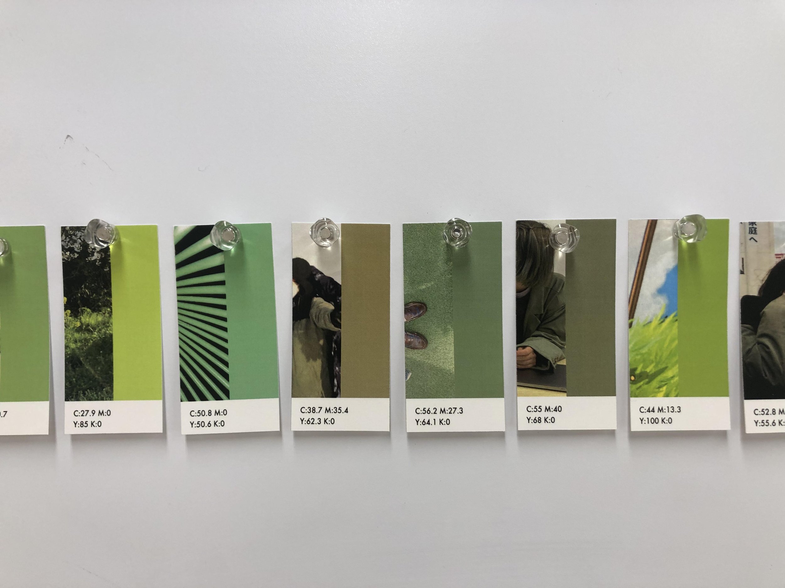 color_observation_green_2021_006.JPG