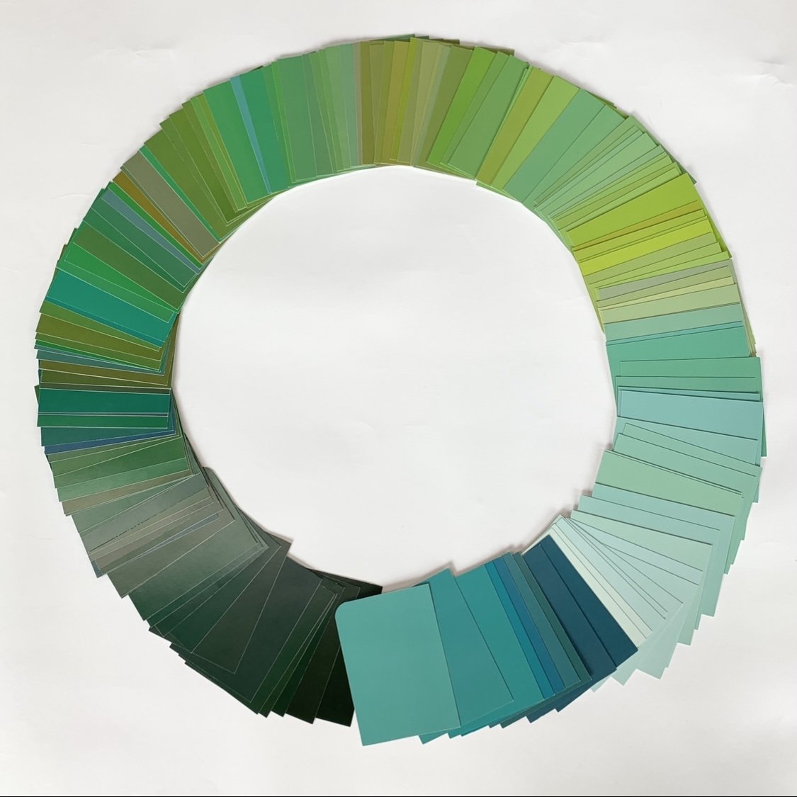 color_observation_green_2021_008.jpg