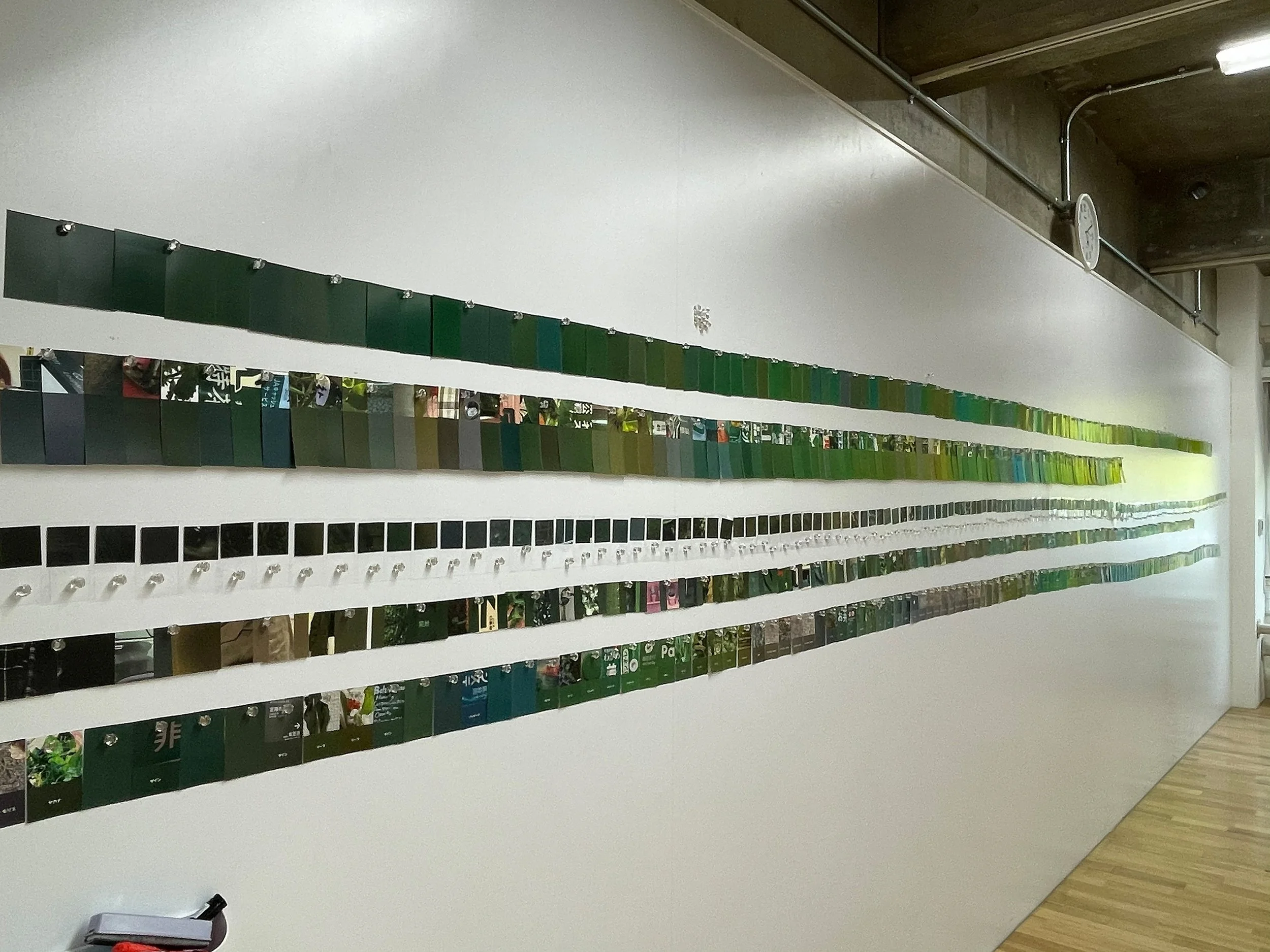 color_observation_green_2021_009.jpg