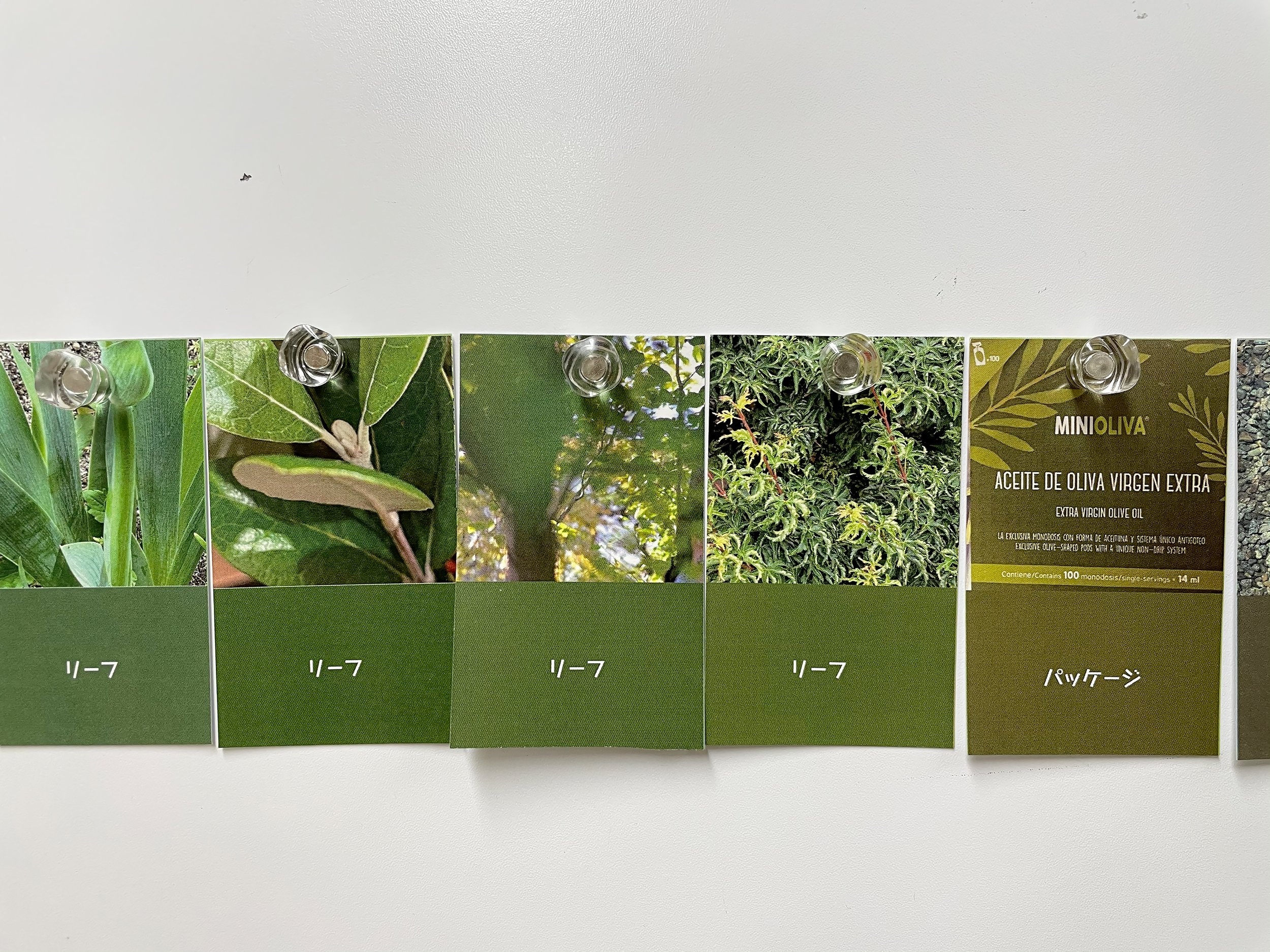 color_observation_green_2021_010.jpg