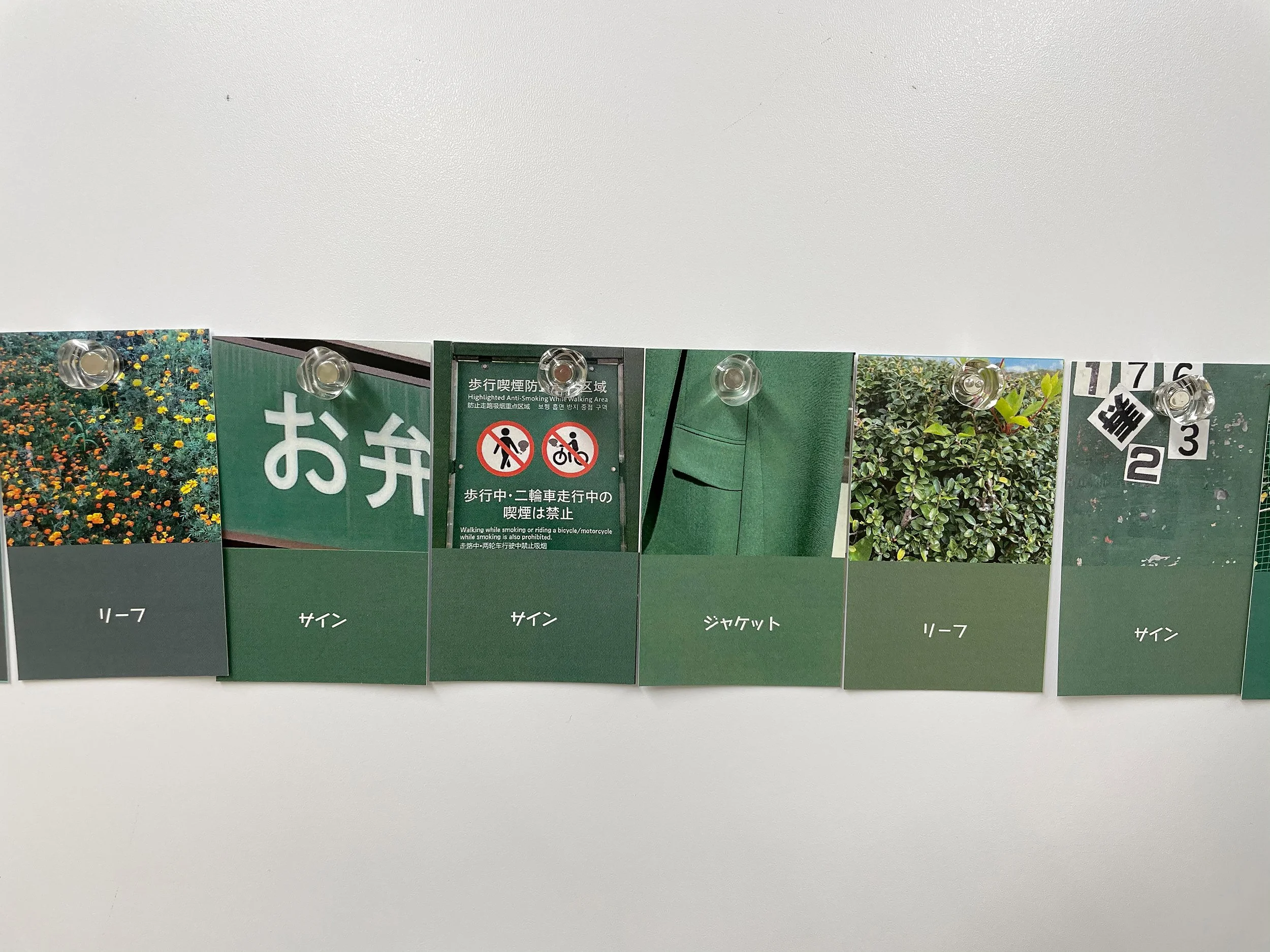 color_observation_green_2021_011.jpg
