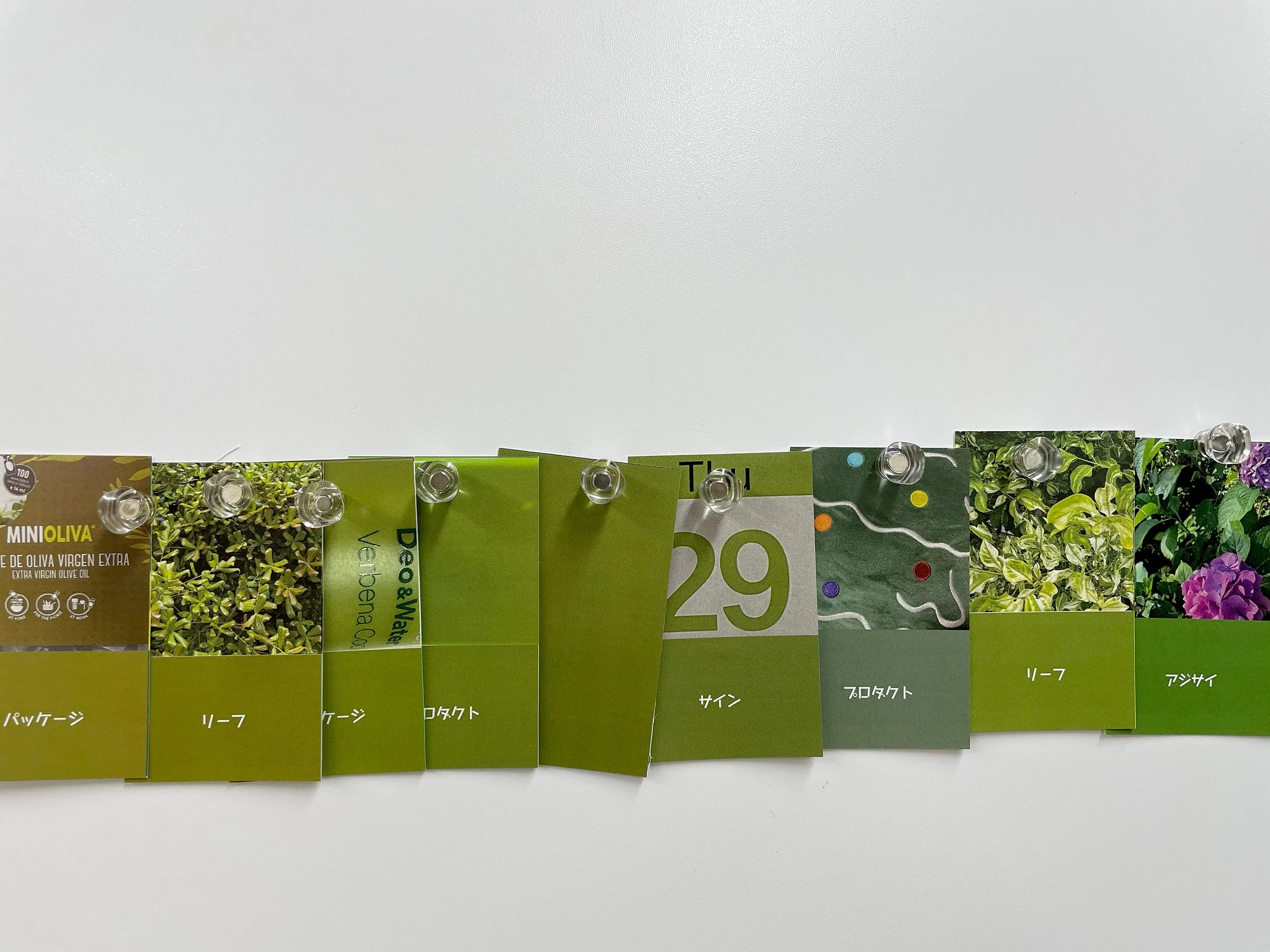 color_observation_green_2021_014.jpg