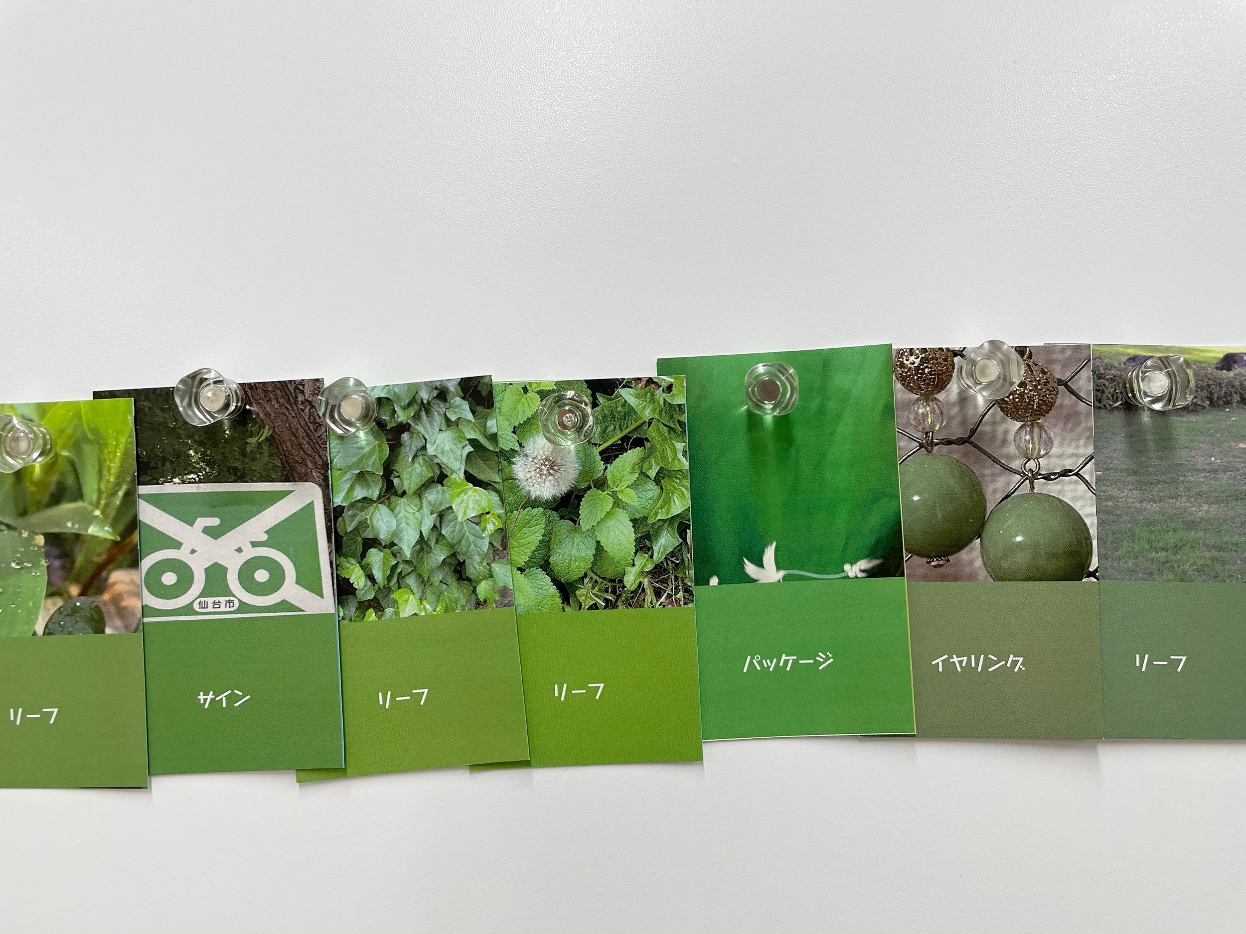 color_observation_green_2021_017.jpg