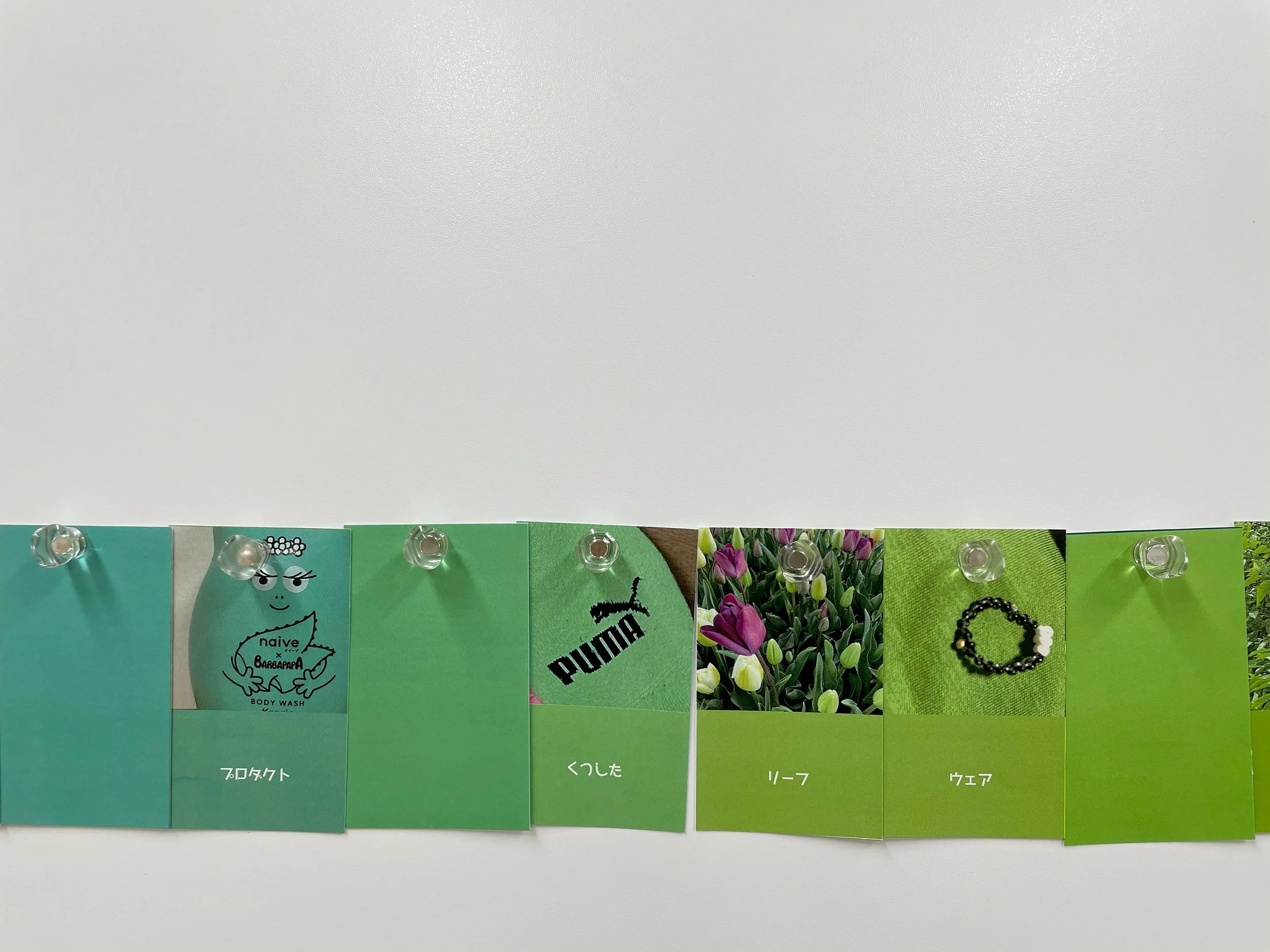 color_observation_green_2021_019.jpg