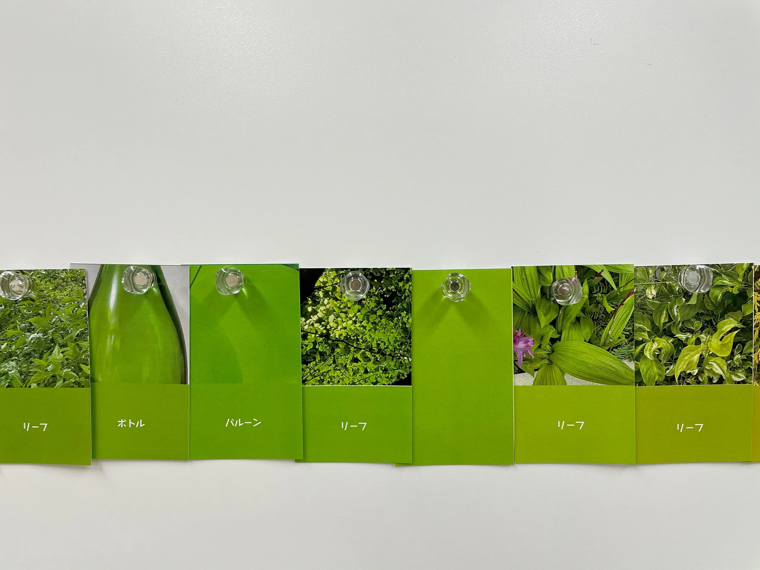 color_observation_green_2021_020.jpg