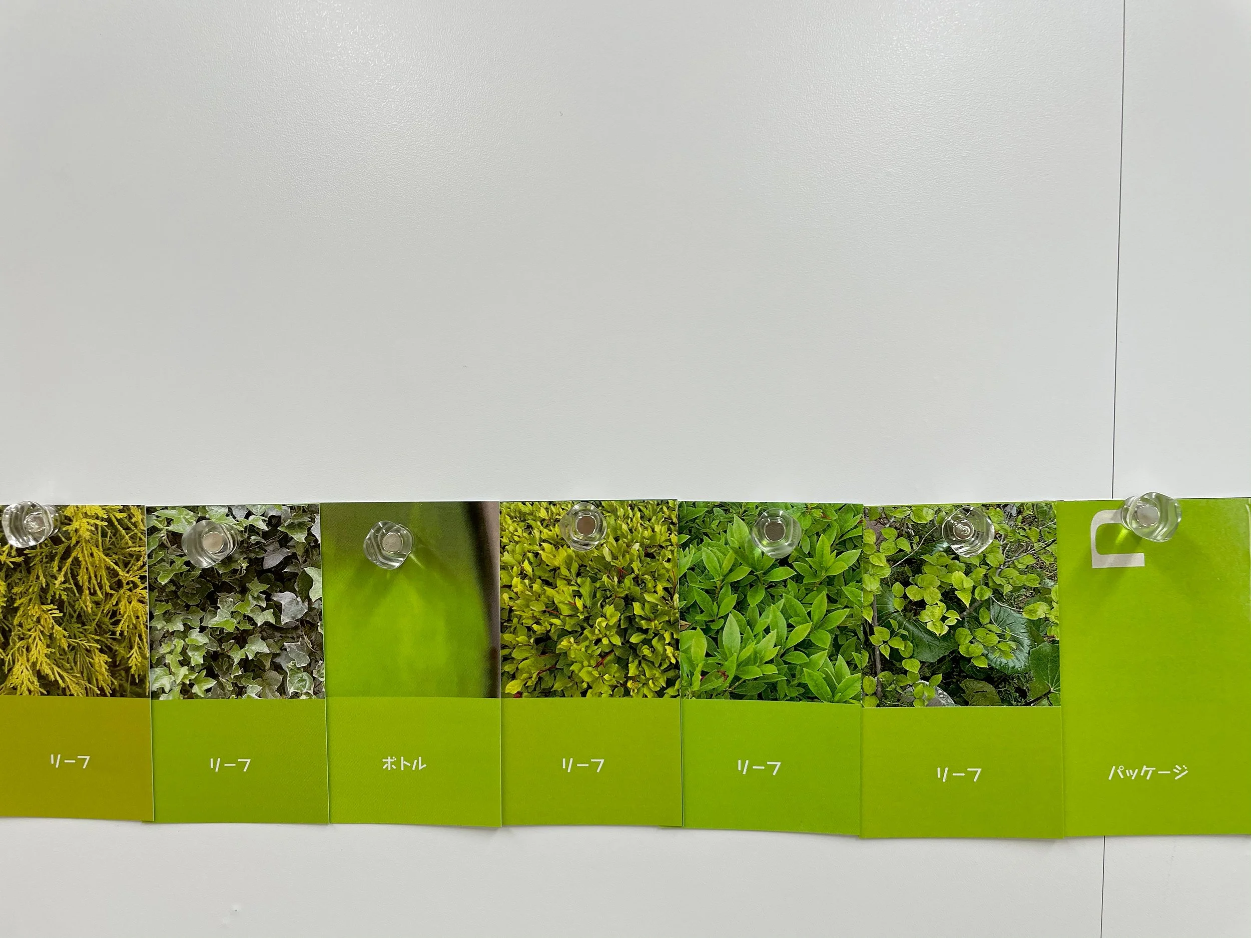 color_observation_green_2021_021.jpg