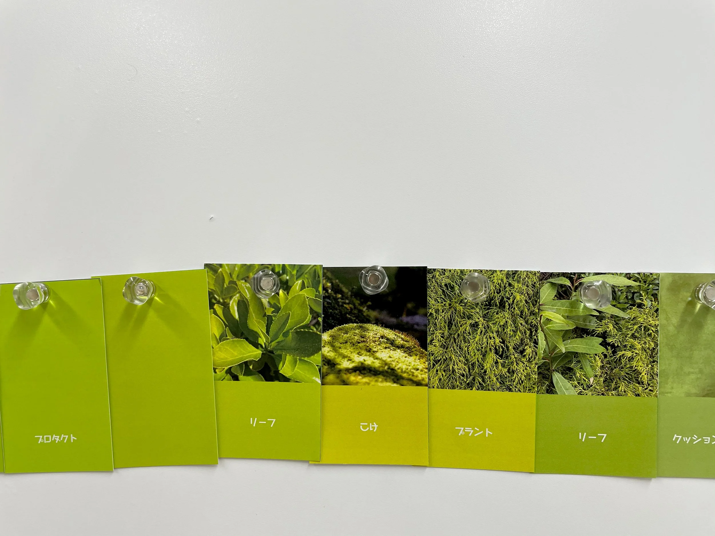 color_observation_green_2021_022.jpg