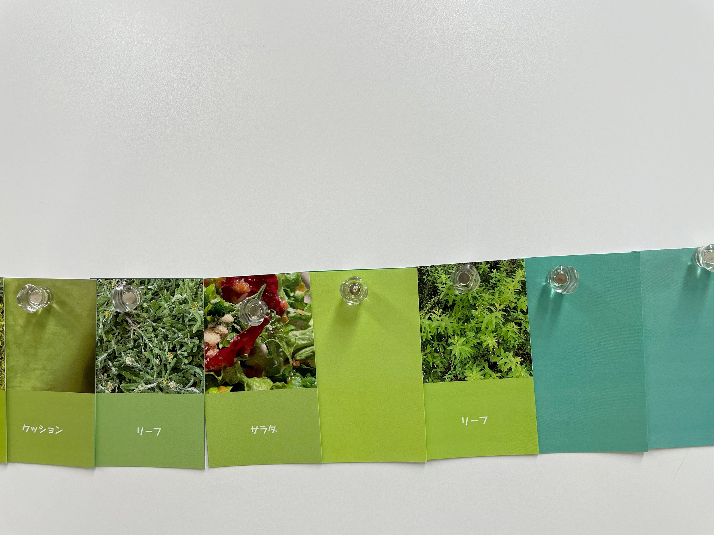 color_observation_green_2021_023.jpg