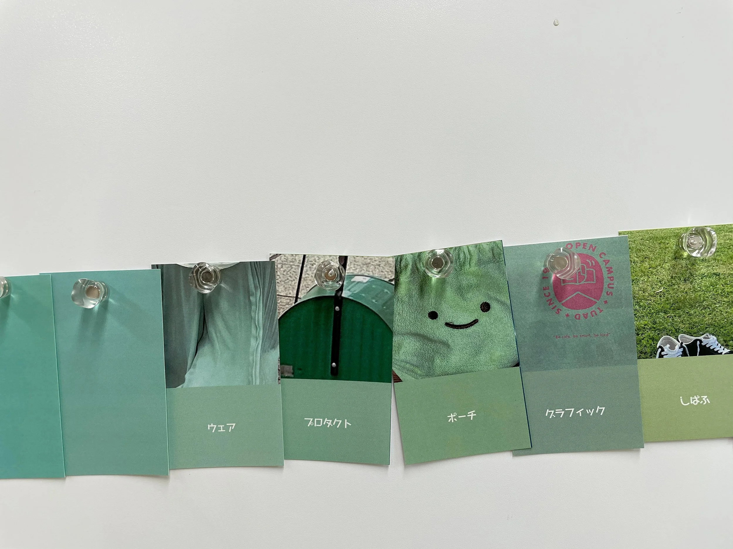 color_observation_green_2021_024.jpg