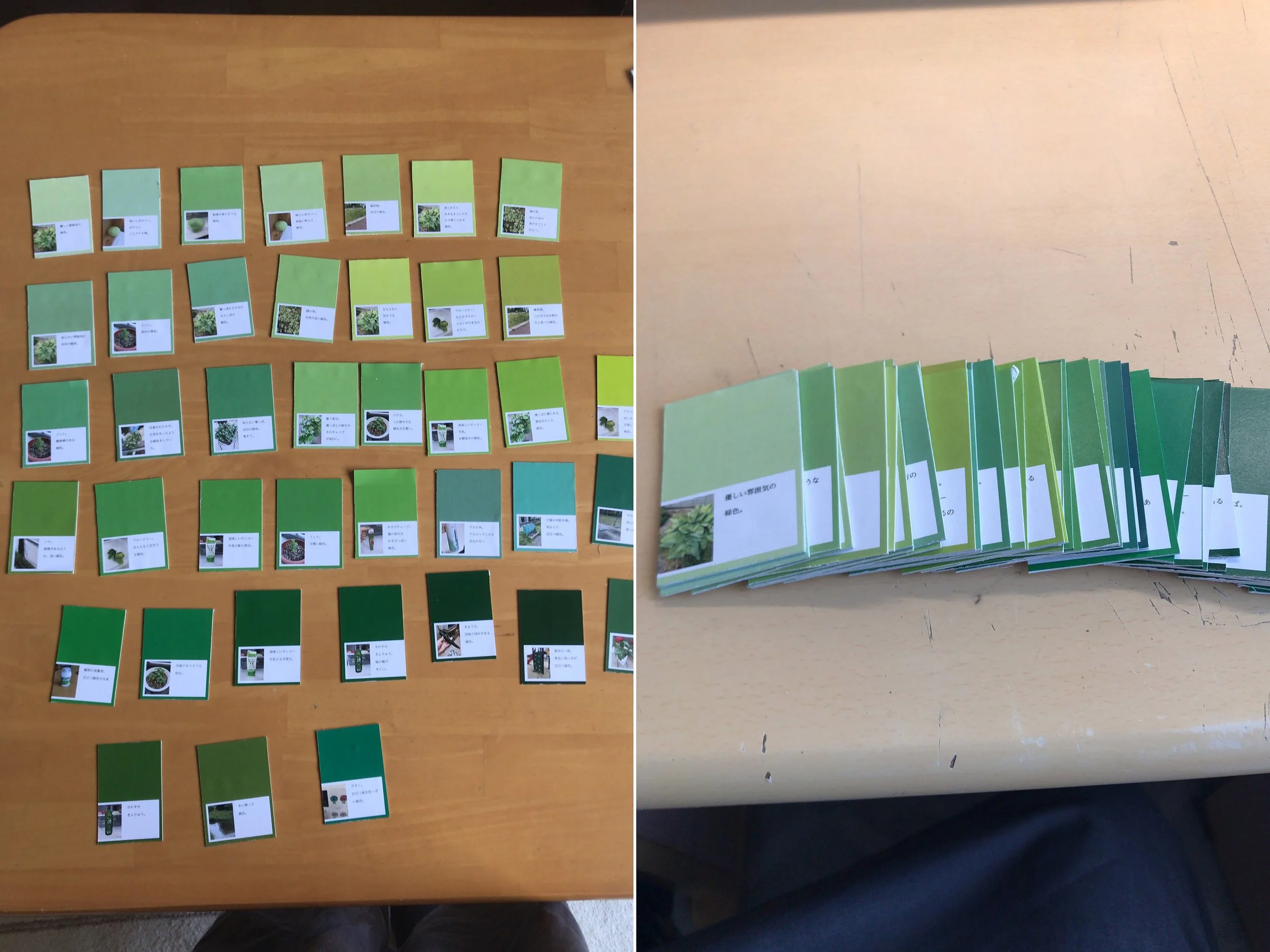 color_observation_green_2020_002.jpg