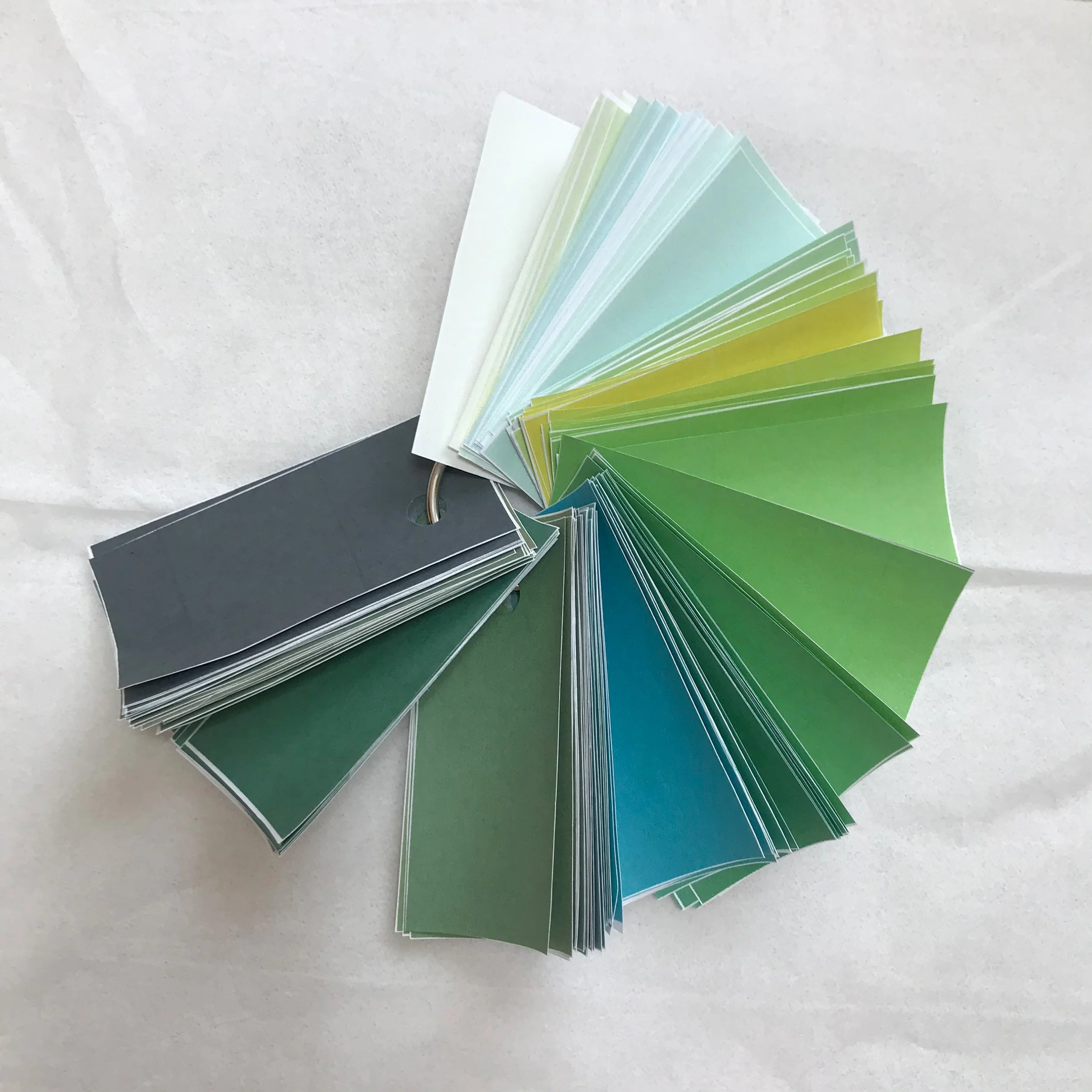 color_observation_green_2020_003.JPG