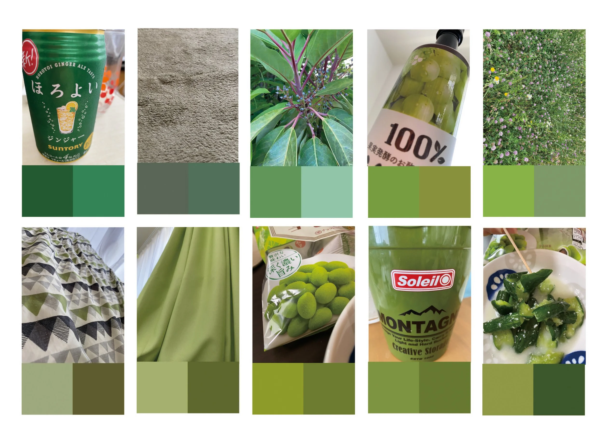 color_observation_green_2020_004.jpg