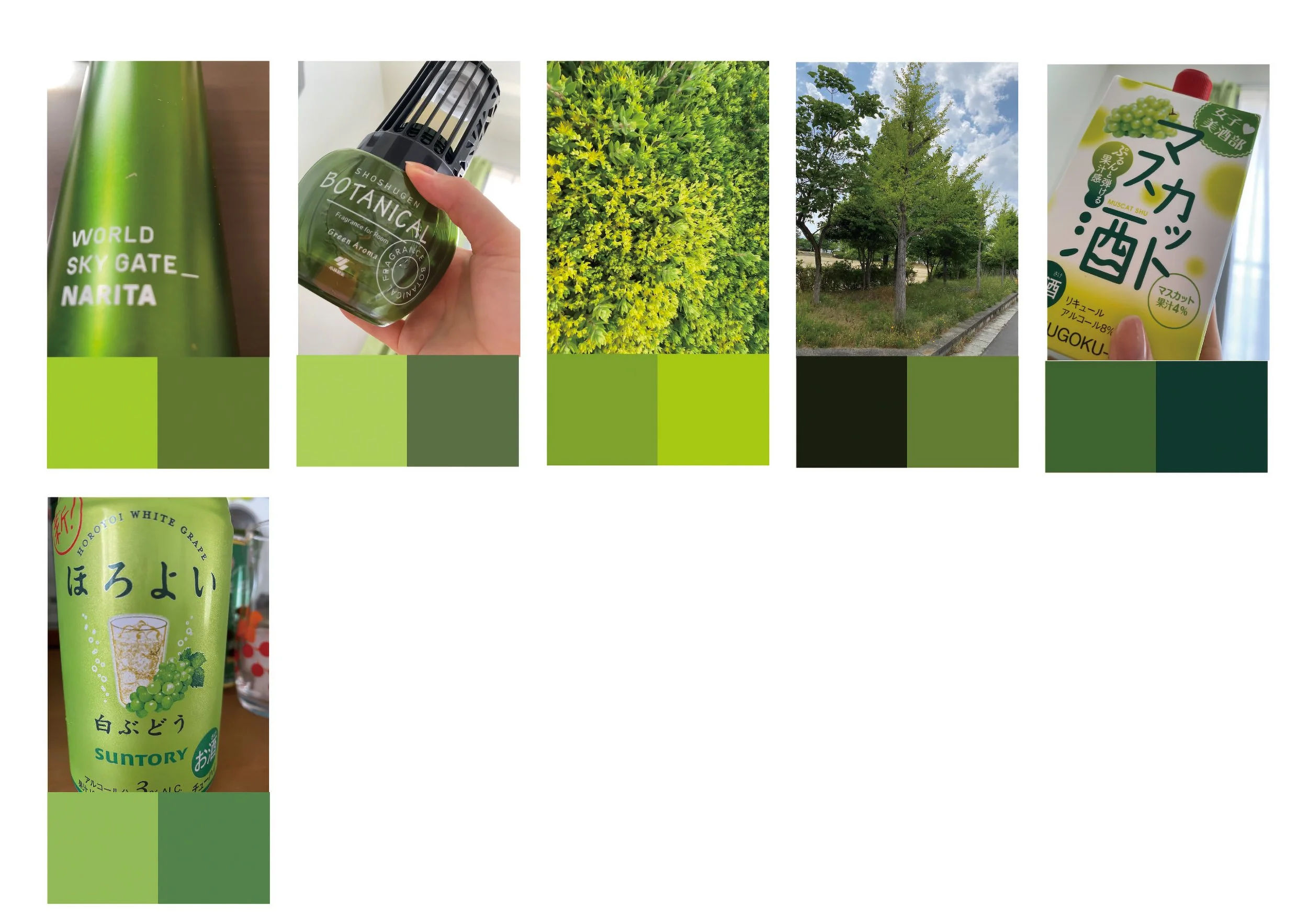 color_observation_green_2020_006.jpg