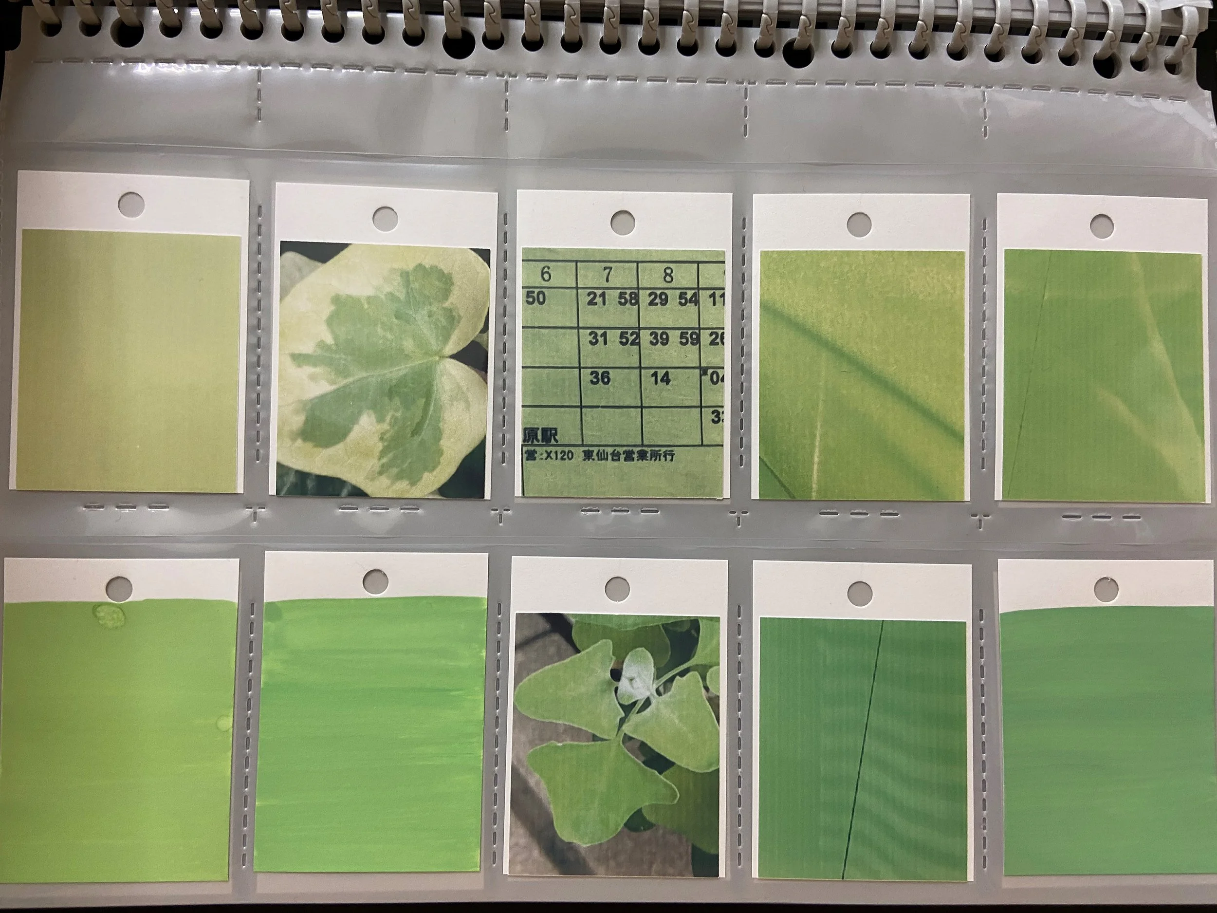 color_observation_green_2020_007.JPG
