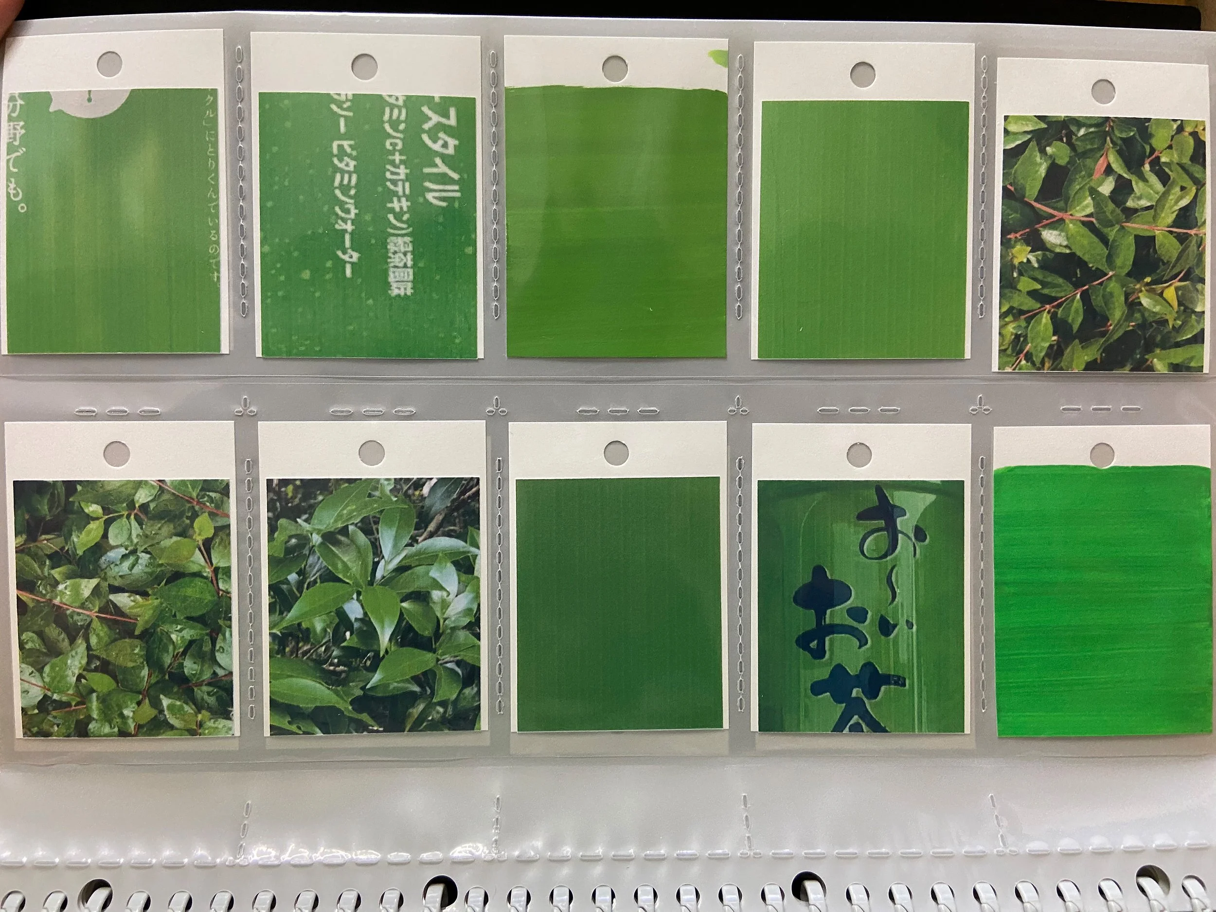 color_observation_green_2020_010.JPG