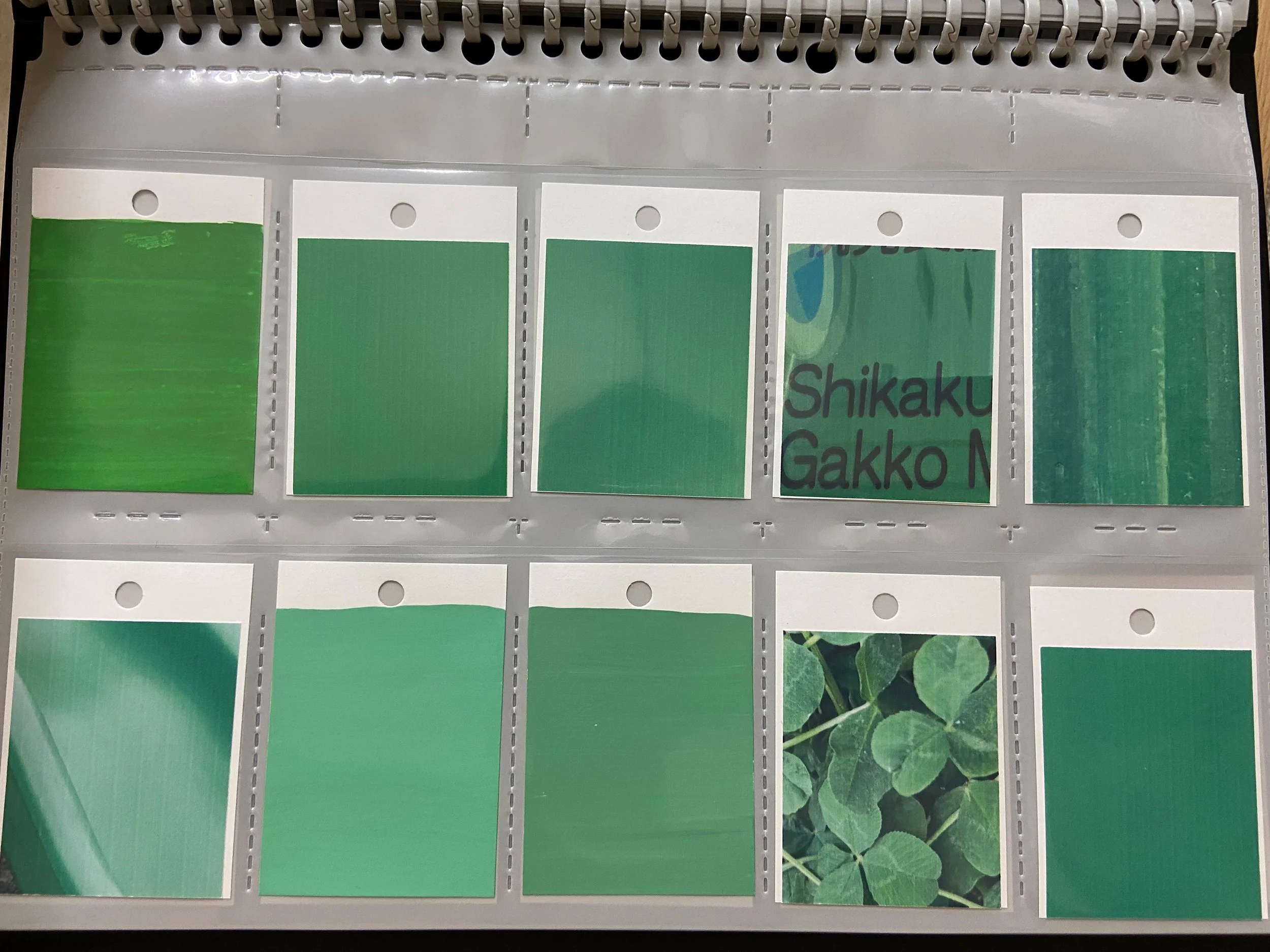 color_observation_green_2020_011.JPG