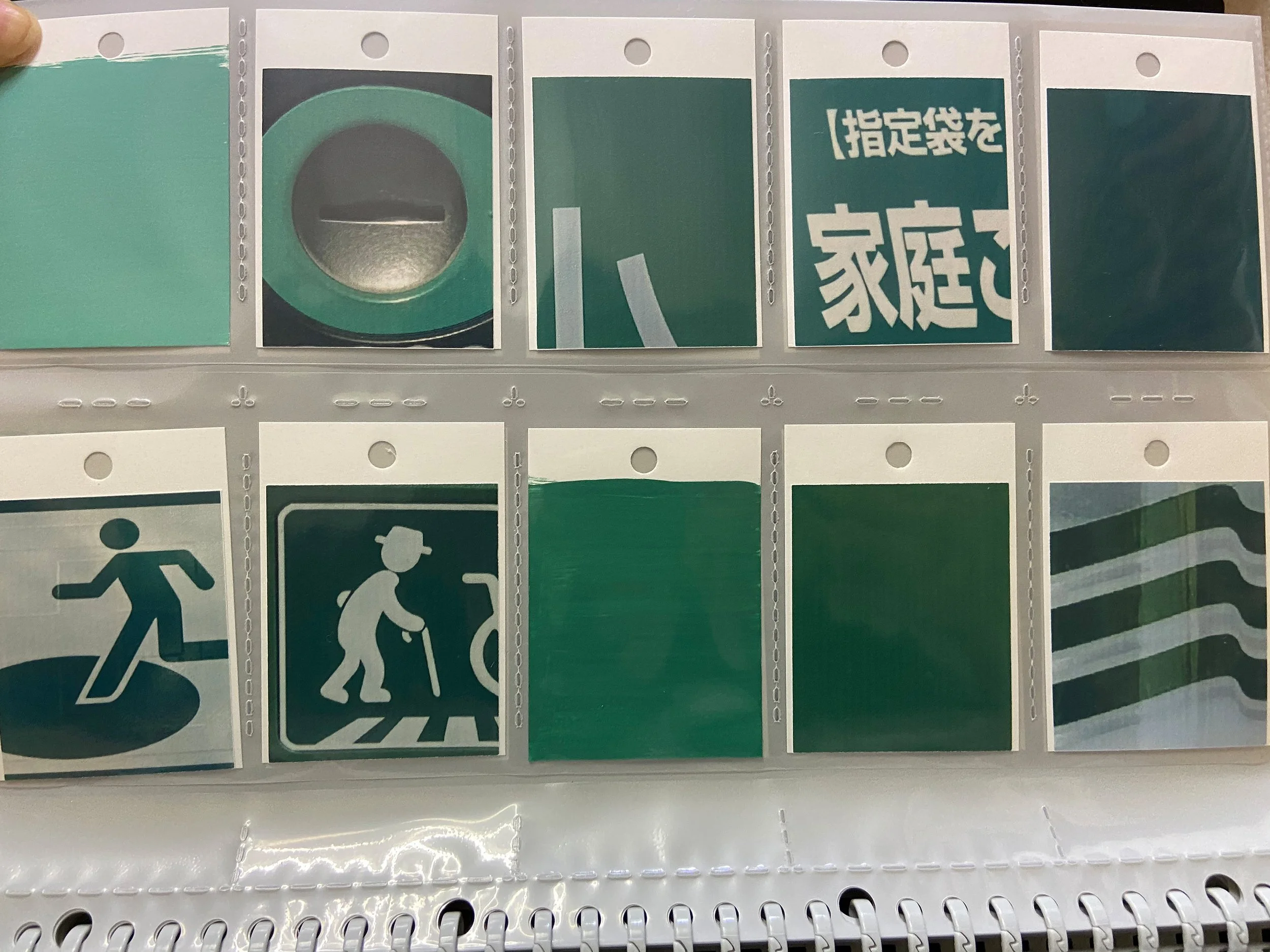 color_observation_green_2020_012.JPG