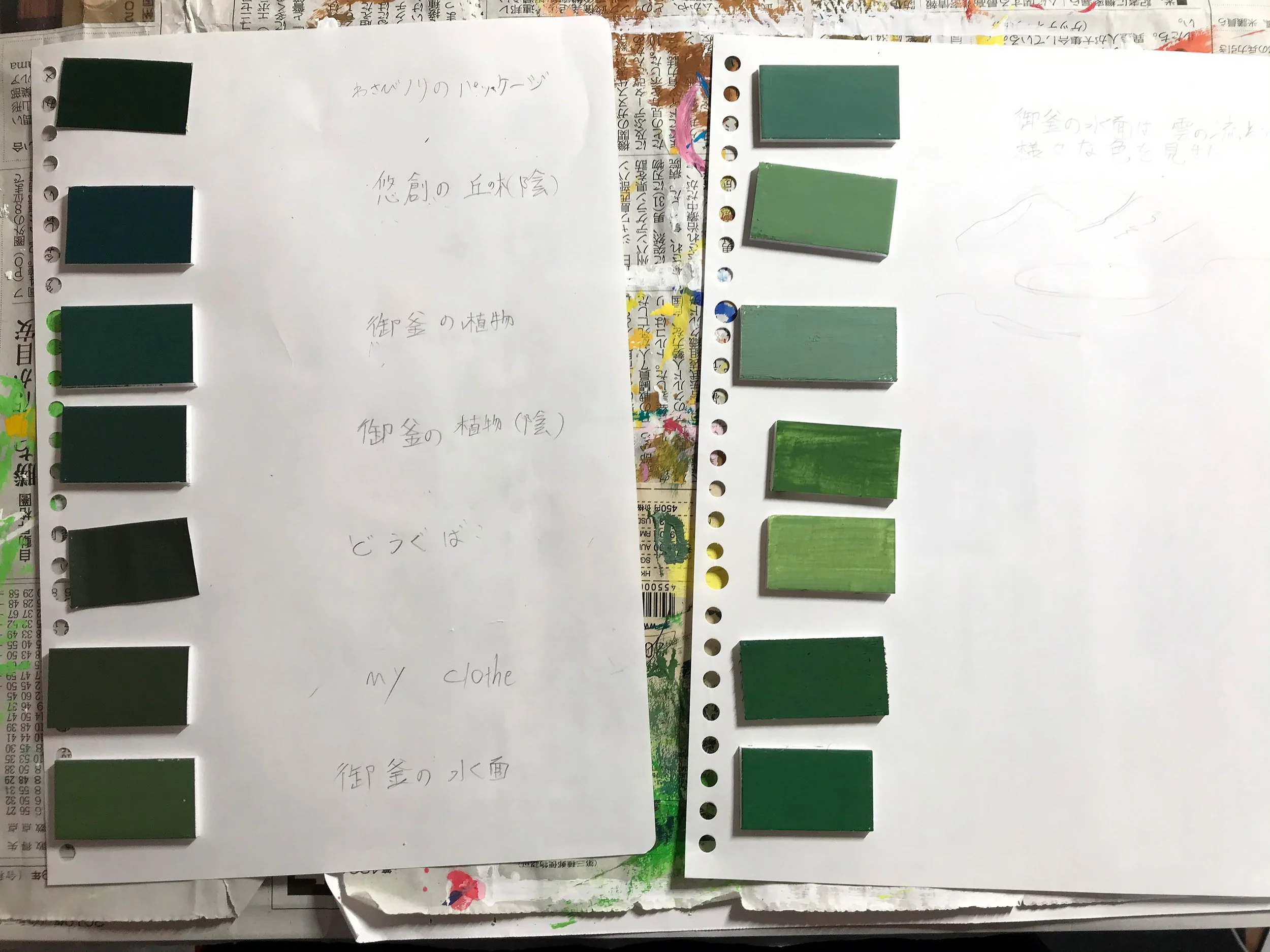 color_observation_green_2020_016.jpg