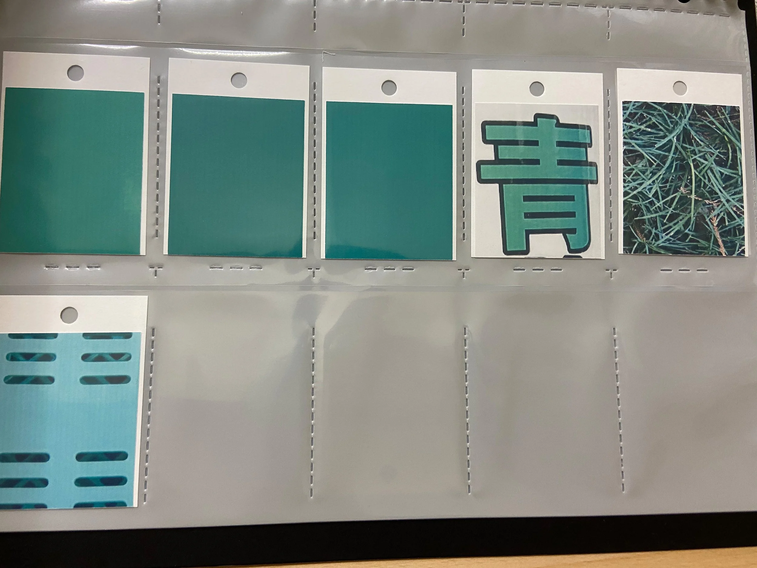 color_observation_green_2020_015.JPG