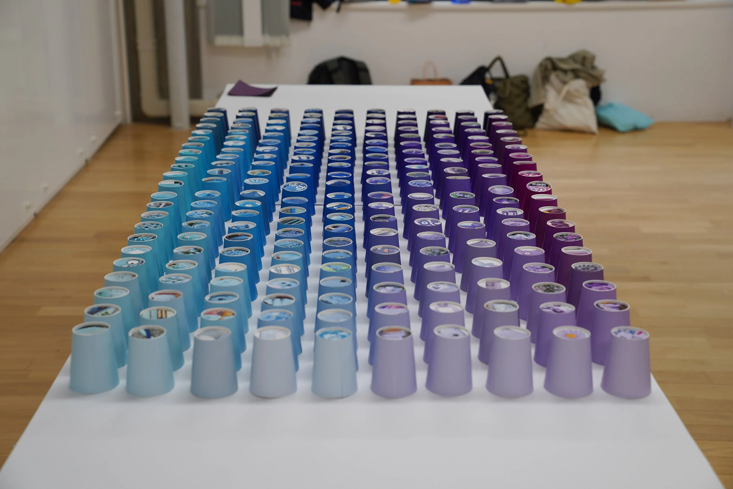 color_observation_blue-purple_2025_006.JPG