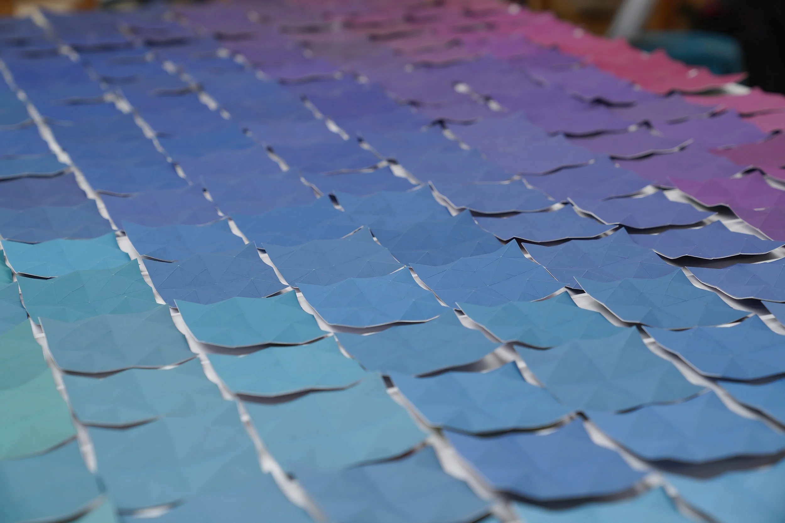 color_observation_blue-purple_2025_013.JPG