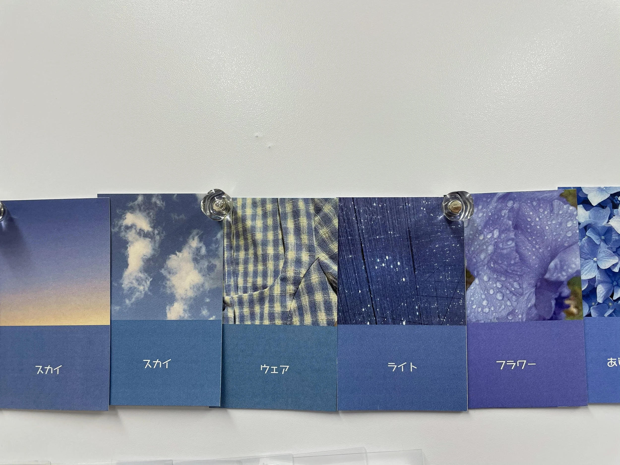 color_observation_blue-purple_2021_021.jpg