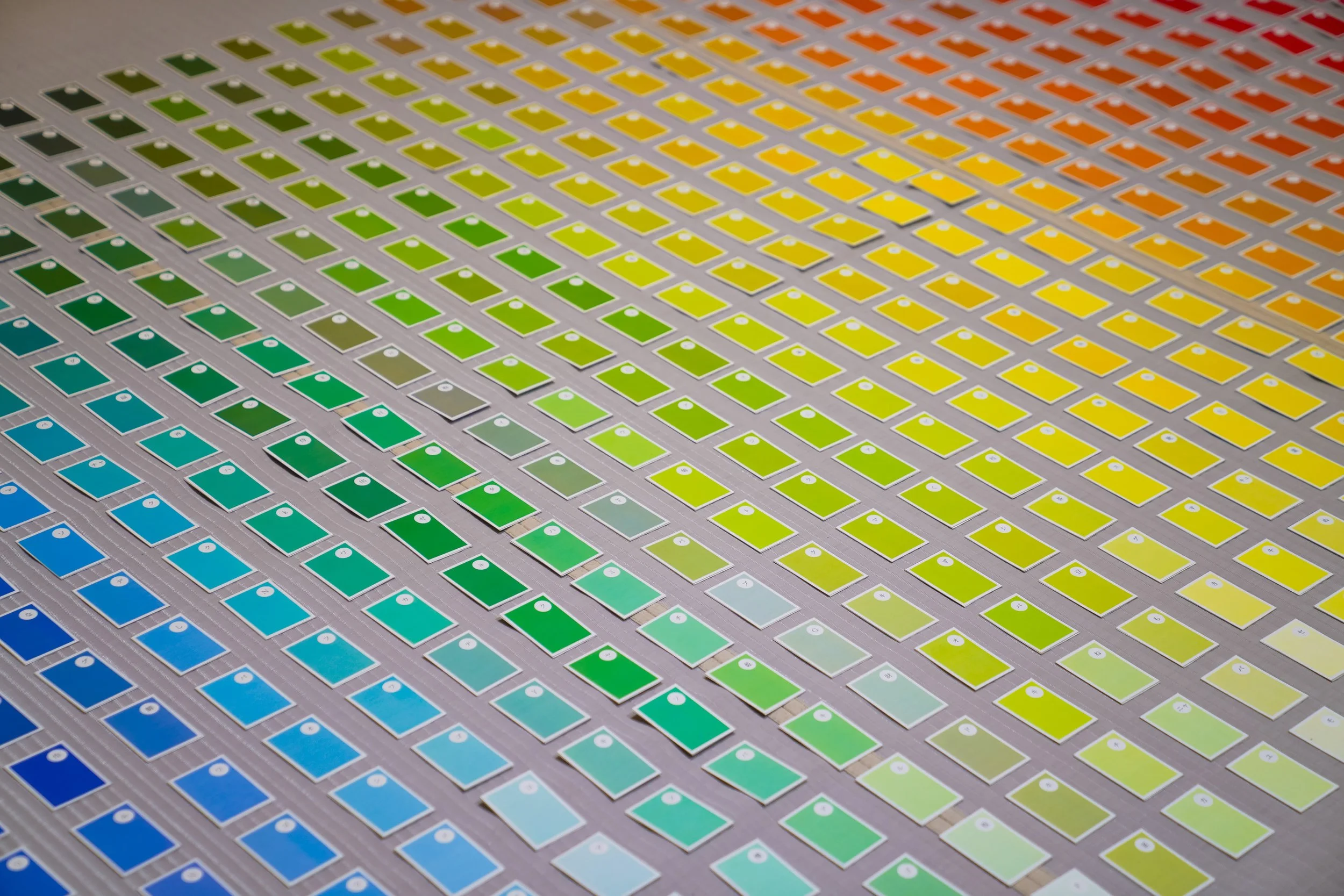 1000colors_2025_ex02_007.jpg