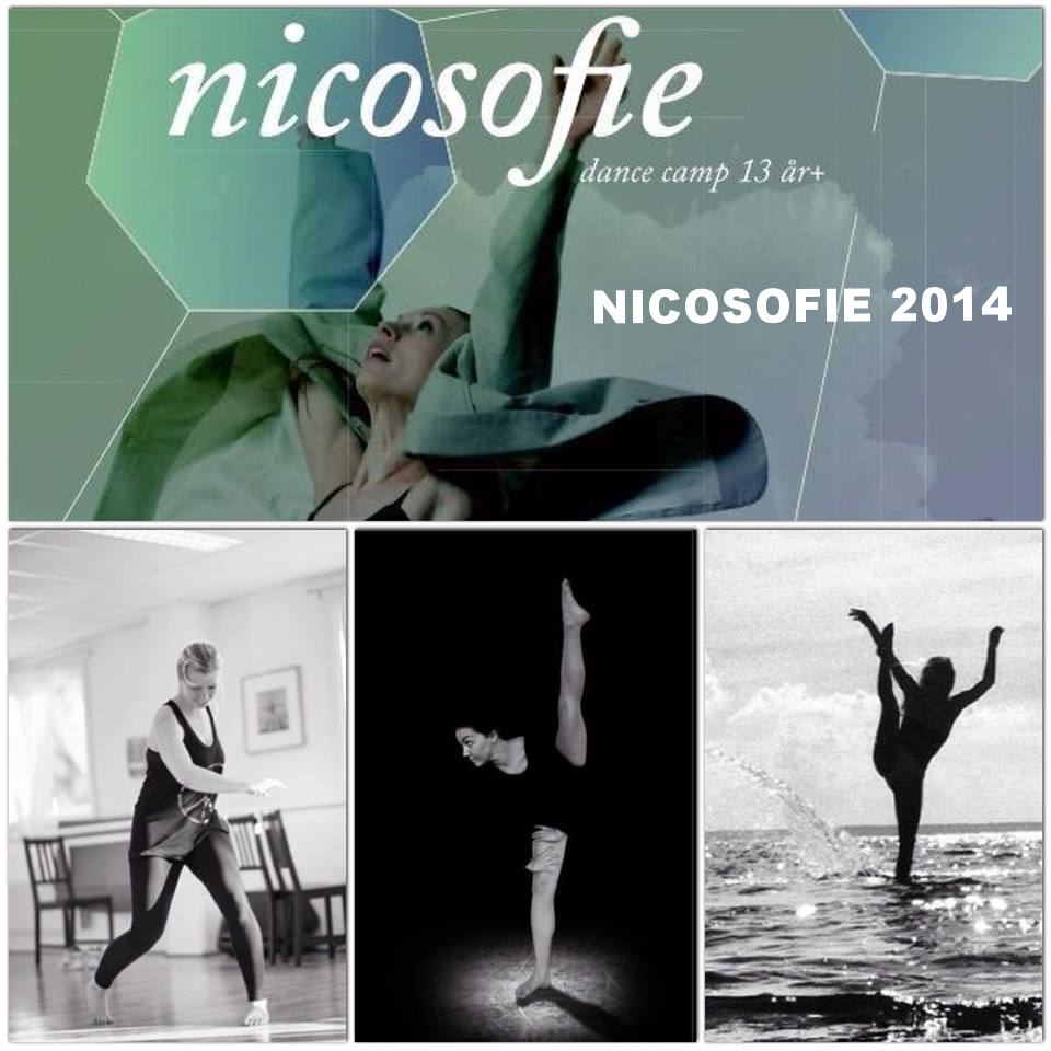 NICOSOFIE CREW 2014 2.jpg