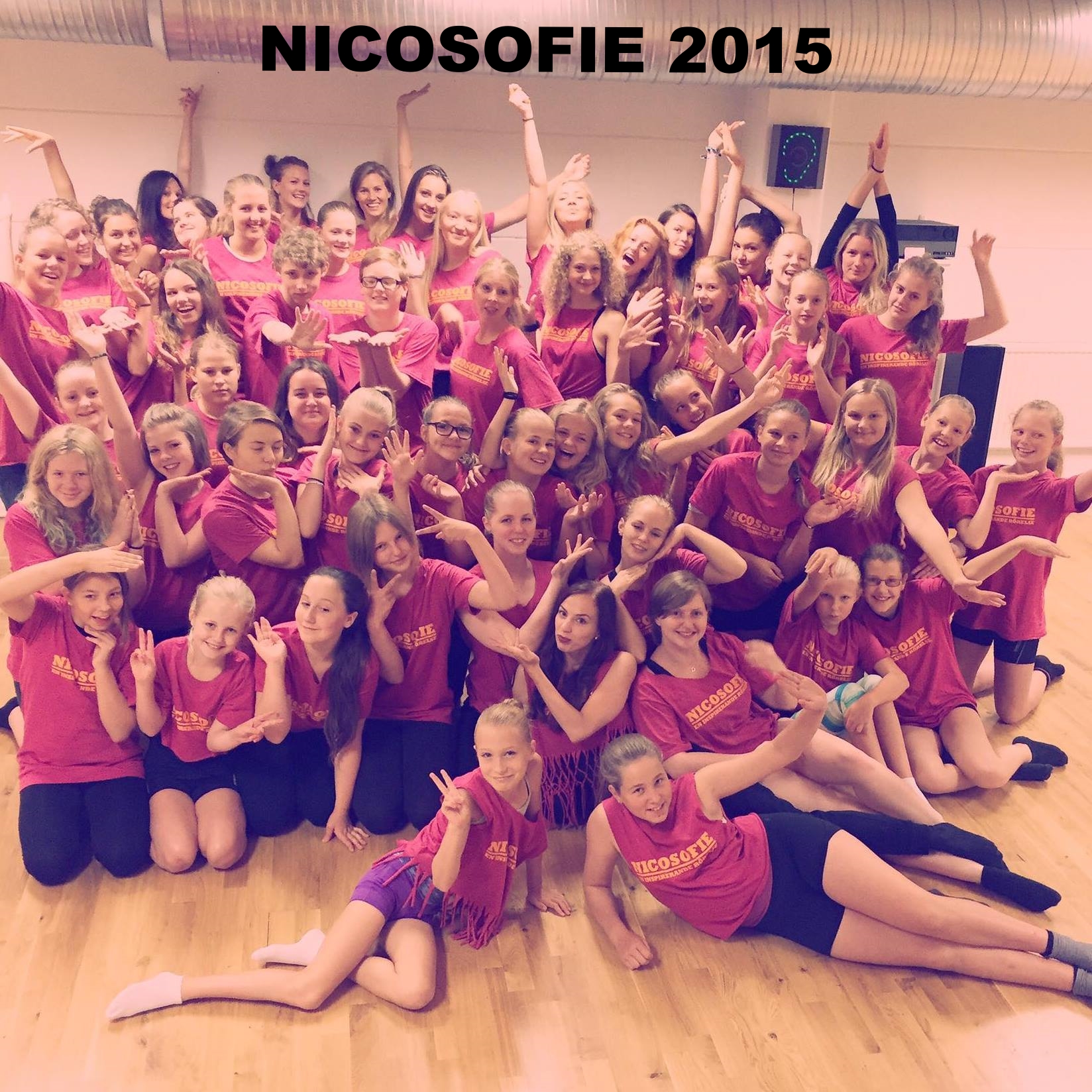 Gruppbild NICOSOFIE 2015 stora.jpg