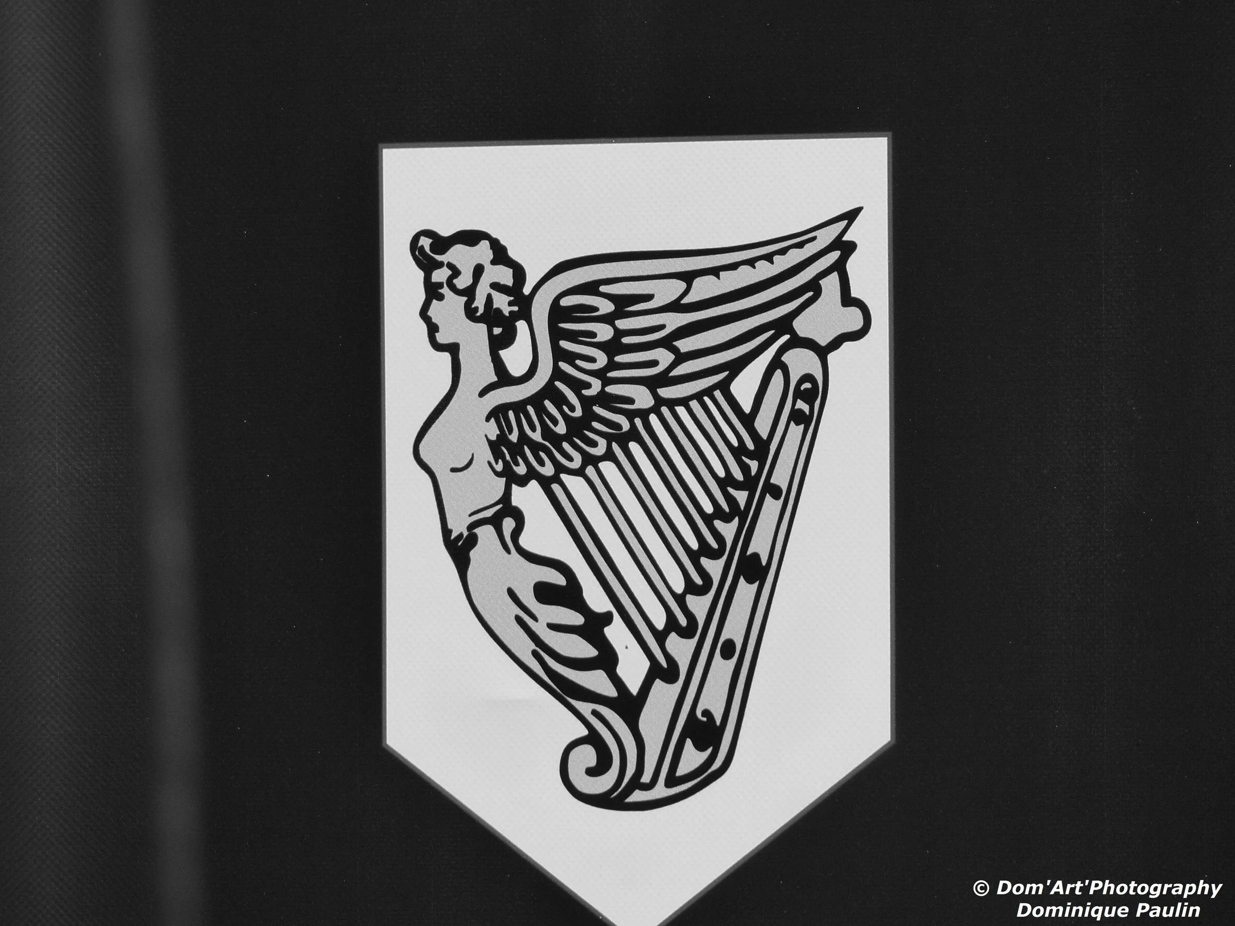 P1020777.jpg