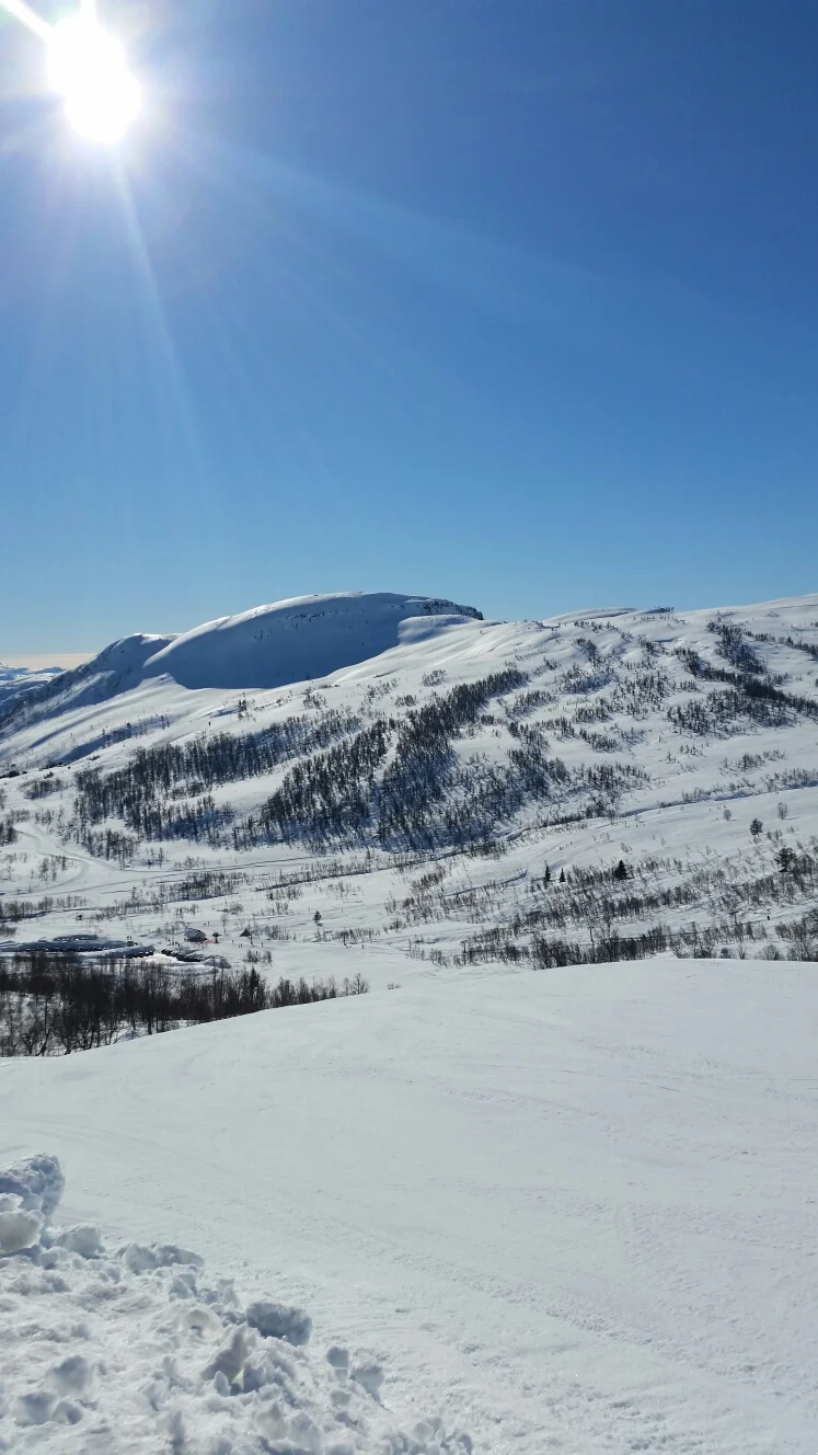 kalvavatni mot rindabotn 