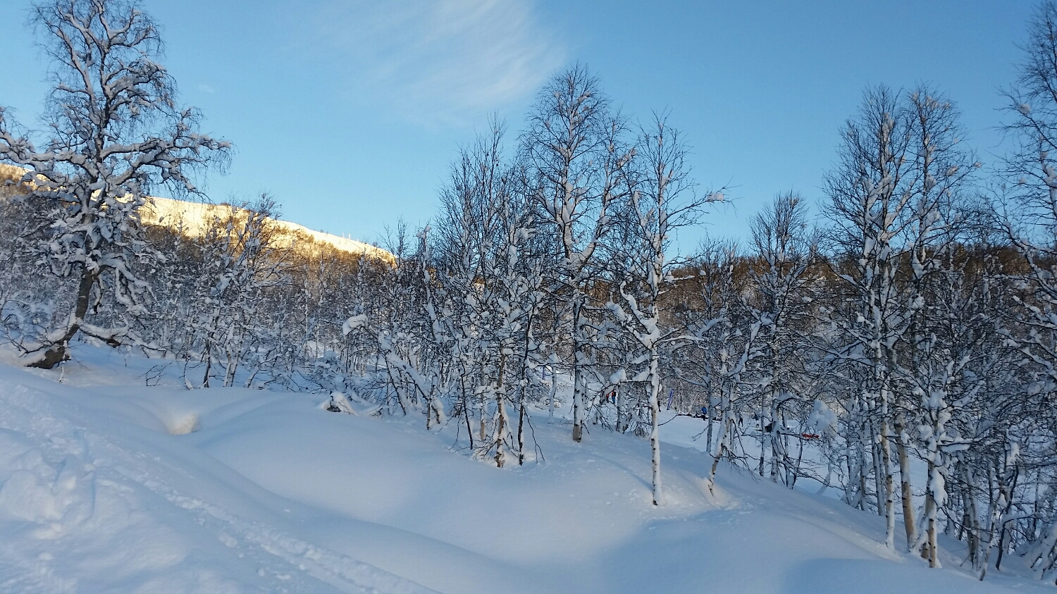 Ønsker for mer snø som tidligere!!!