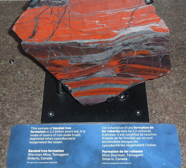 Banded iron from Sherman Mine, Temagami, ON, formed as a sedimentary deposit of iron oxide 2.2 billion years ago, when Earth's oxygen largely came from cyanobacteria.
