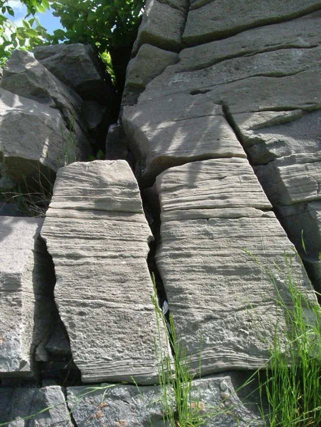 Hull Formation coarse-grained limestone characterized by cross-beds, erosive boundaries between beds, and rip-up clasts, Du Lac des Fées Promenade, Gatineau. Photo by B. Halfkenny.