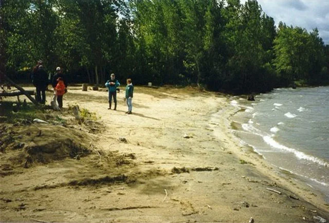 Petrie Island beach. Photo by A. Tweedle