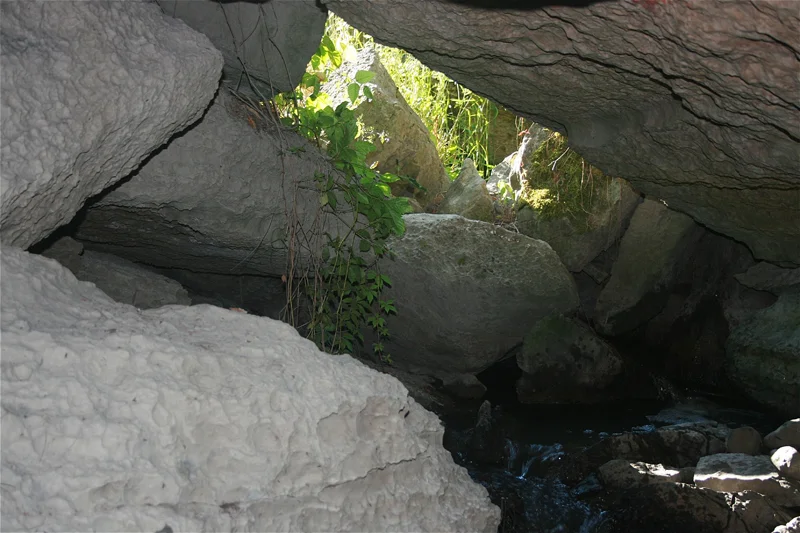Taken from inside the main entrance north of Watters road. Photo by B.McLartyHalfkenny