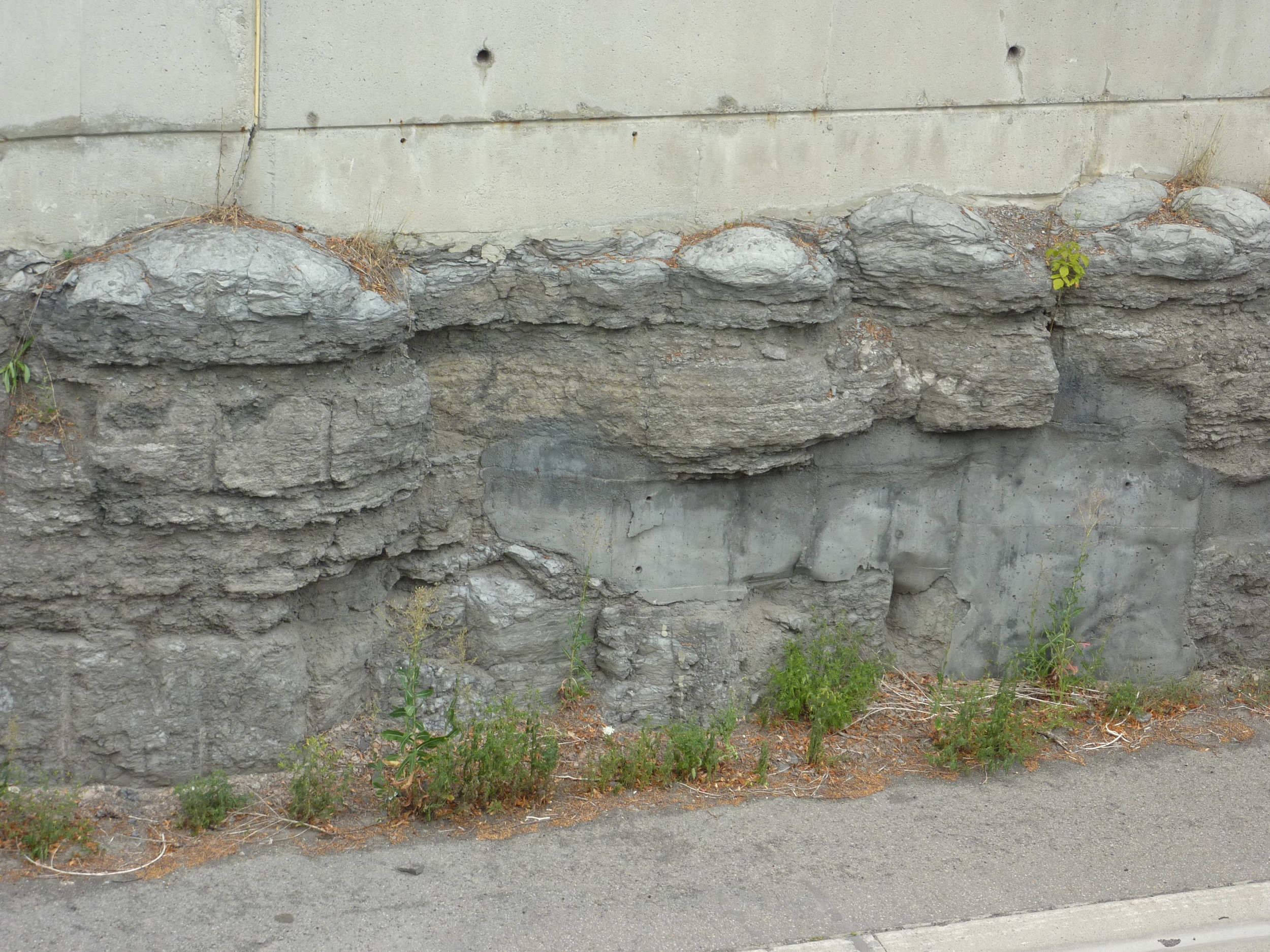 Flat-lying stromatolite unit exposed along the OC transitway north and south wall between Churchill Ave. and the Sir J.A. Macdonald Parkway