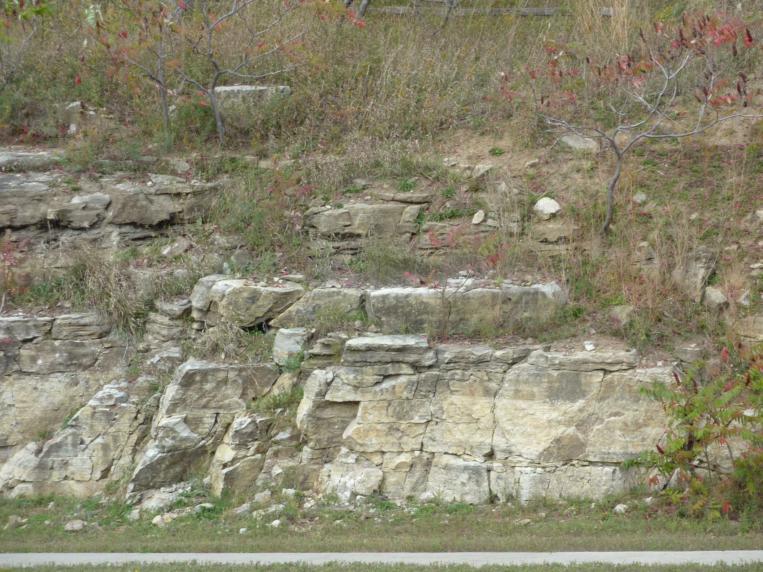 Transition from Nepean Formation sandstone to March Formation dolomite beds (darker), east side of Kanata Dr. at Centrum Plaza. Photo by Q. Gall