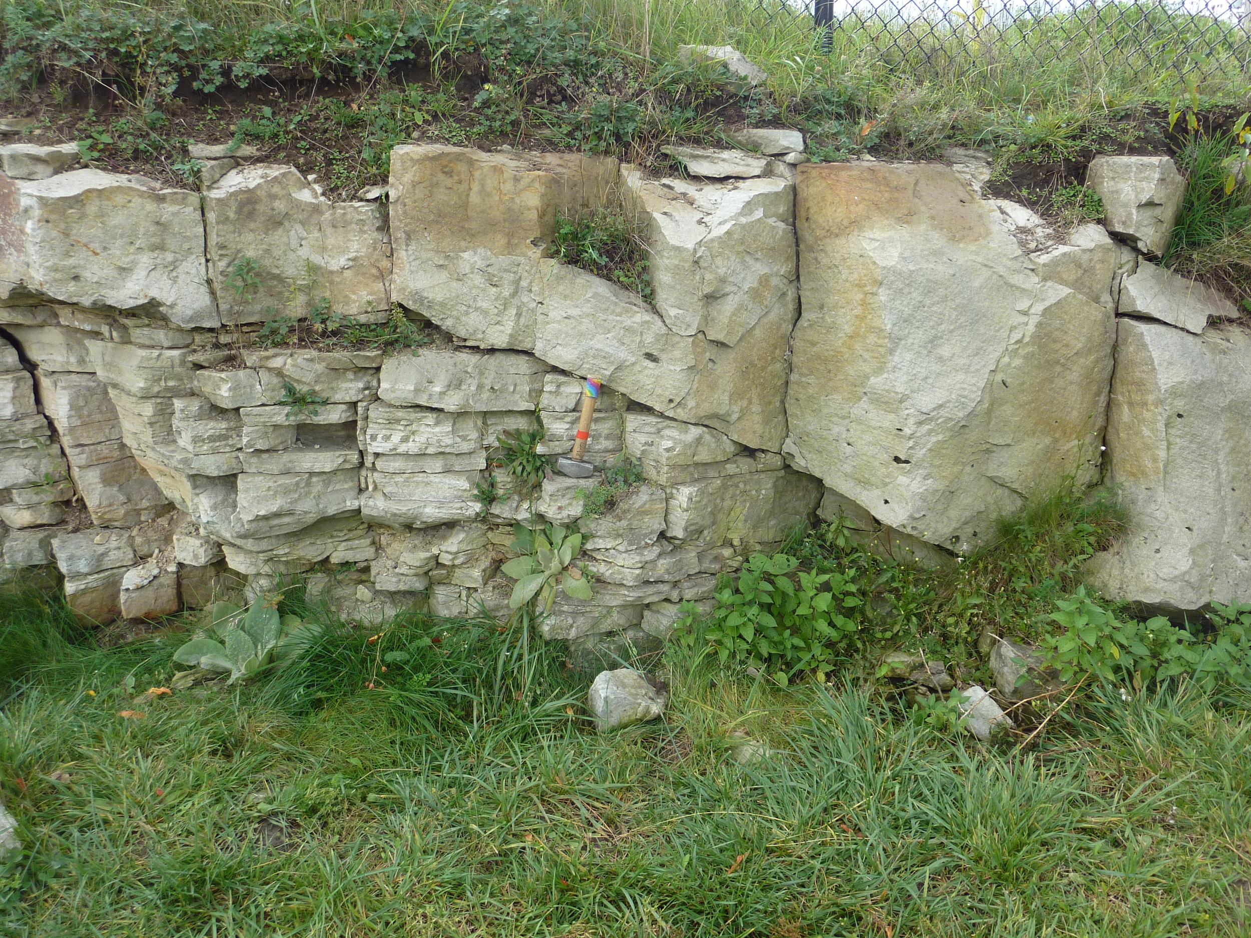 Dune cross-bedded Nepean Fm. sandstone channel fill Centrum at Terry Fox Rd.