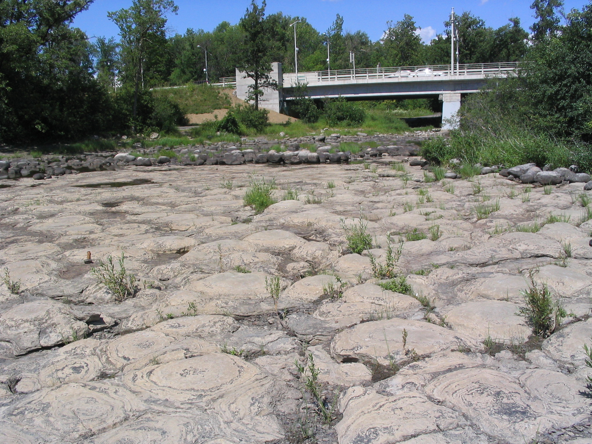 Overview of domal stromatolites upstream of Champlain Bridge, Que. Photo by Q.Gall