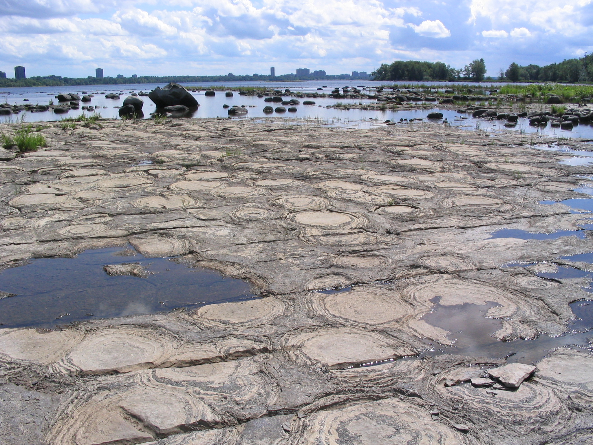 Champlain stromatolites 2