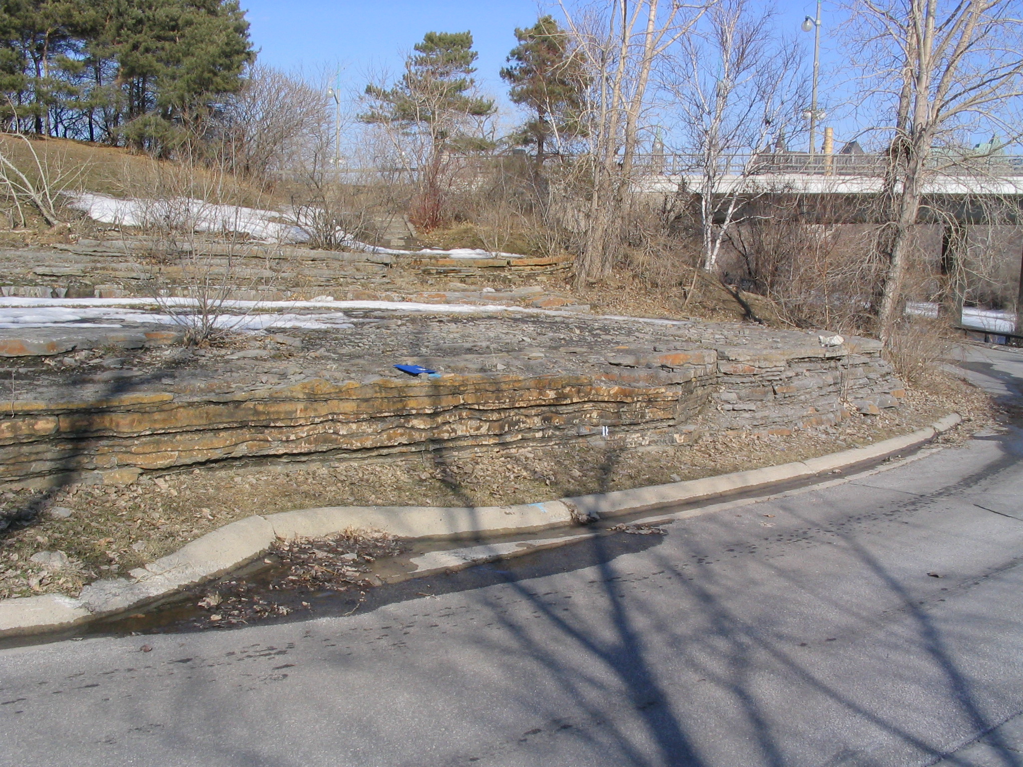 Victoria Island fossiliferous limestone outcrop