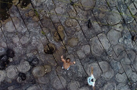 Ordovician stromatolites