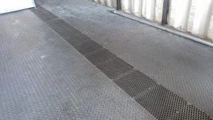 IMAG0550-300x169.jpg