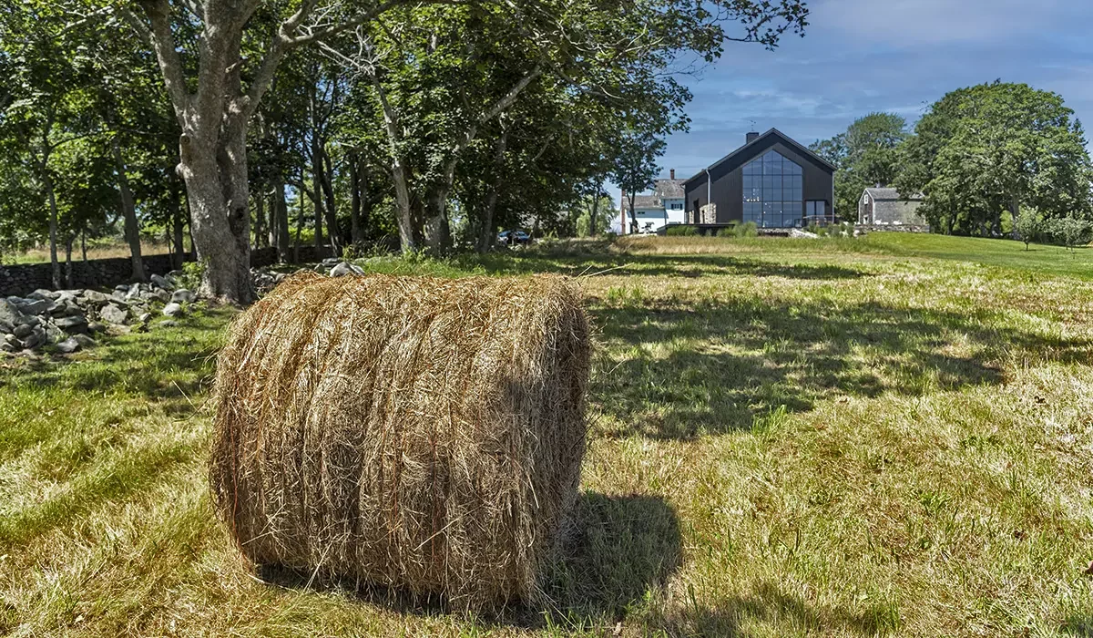barn7.webp