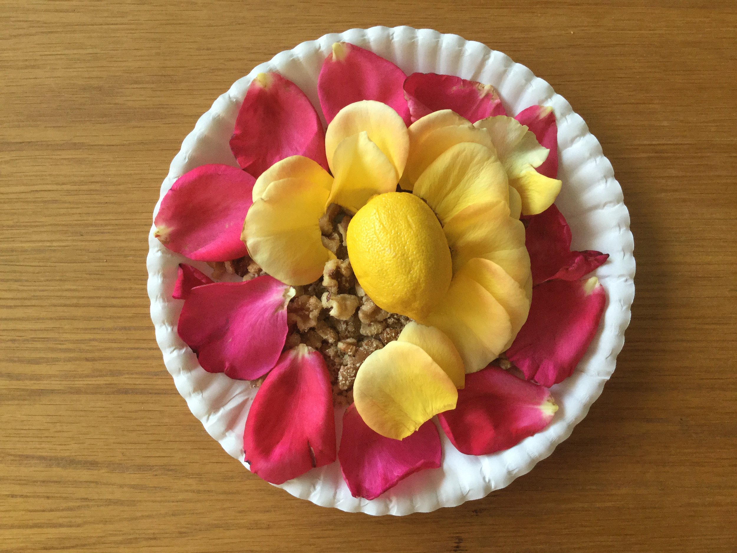 Healer Training - Basic Level 2 and Basic 3