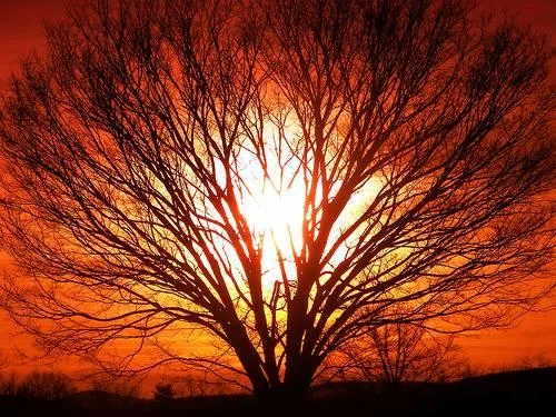 Spirit-of-Nature.jpg