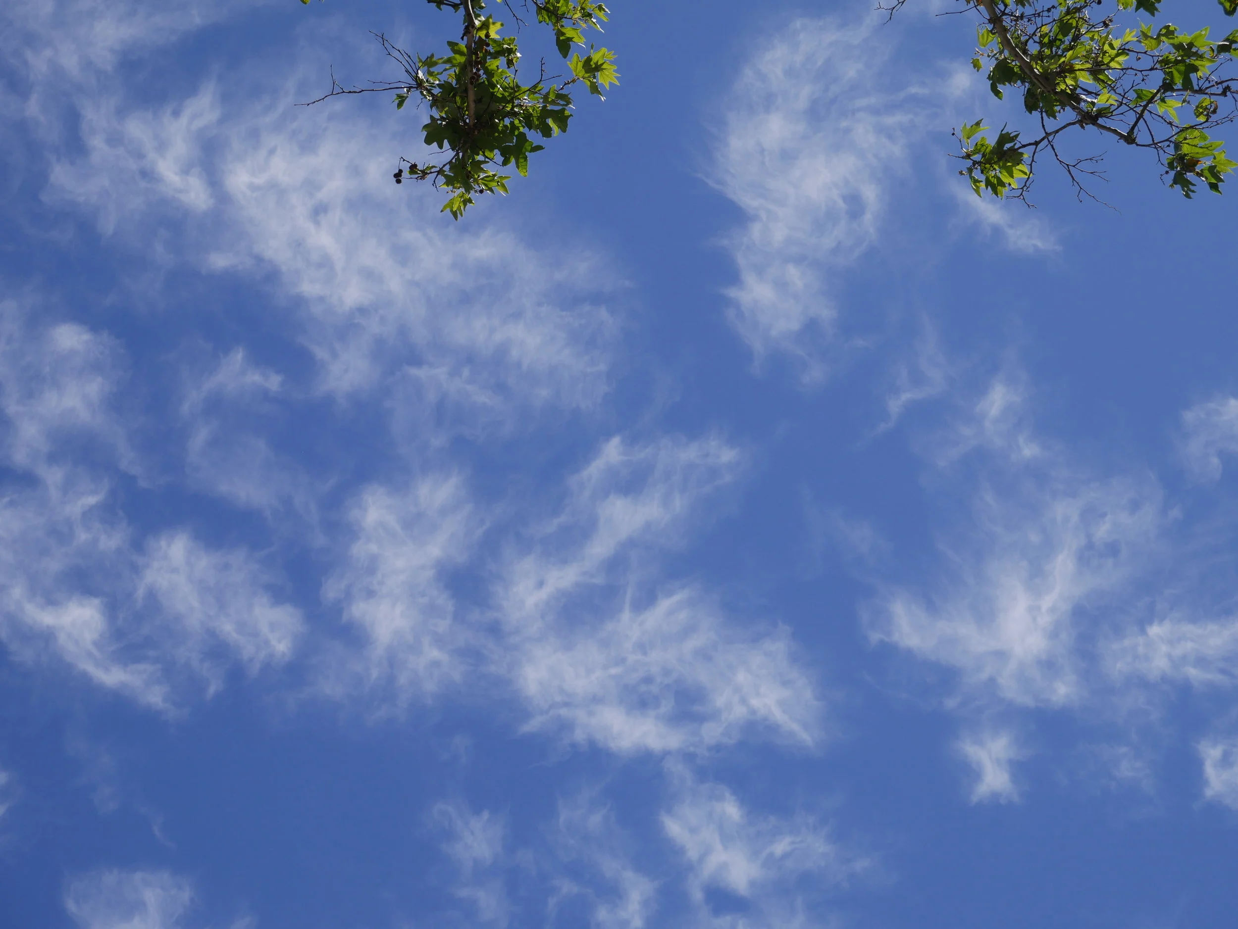 Angels in the sky 3.JPG